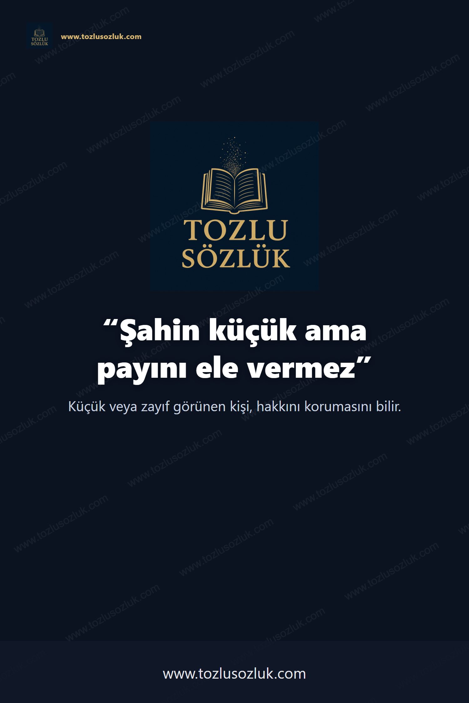 Şahin küçük ama payını ele vermez Pinterest görseli