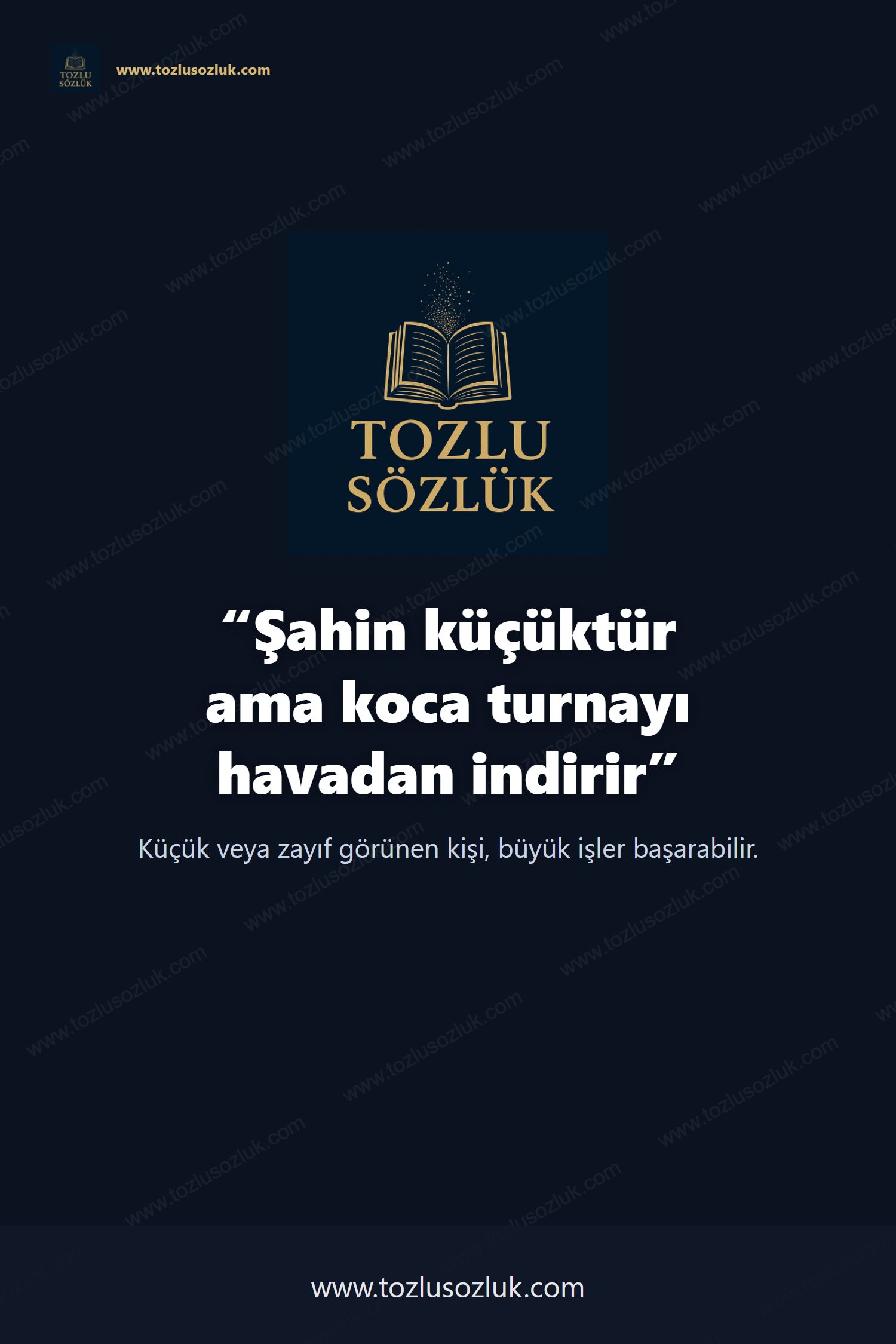 Şahin küçüktür ama koca turnayı havadan indirir Pinterest görseli