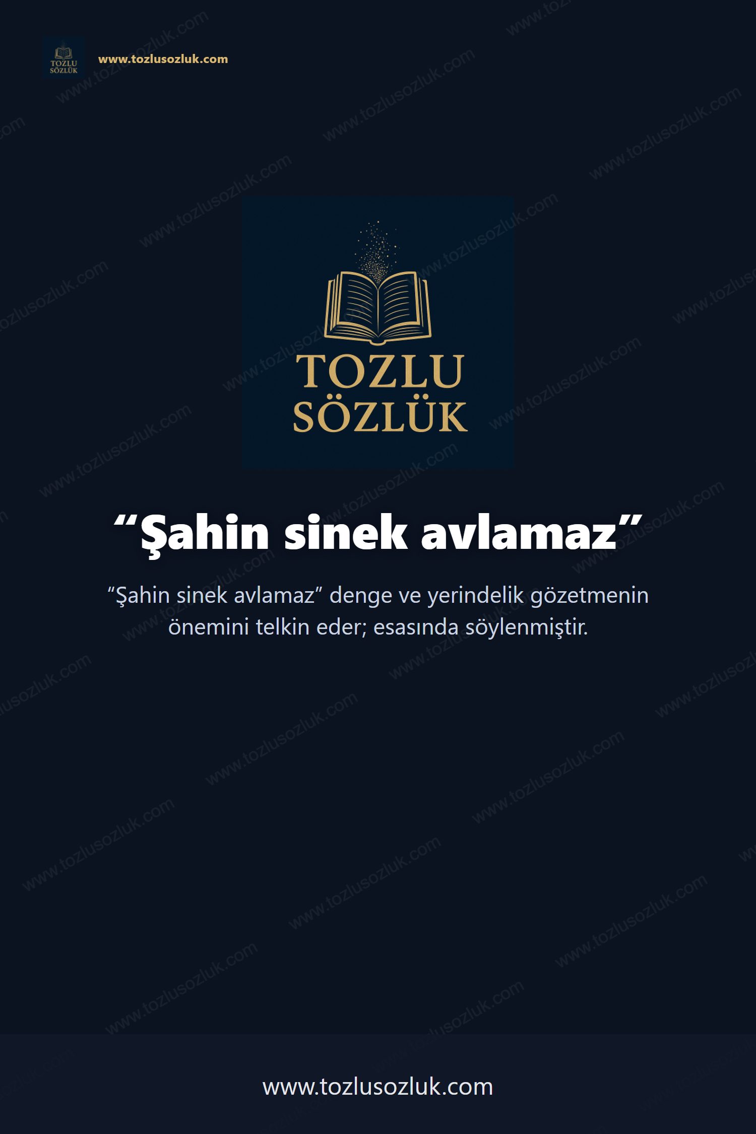 Şahin sinek avlamaz Pinterest görseli