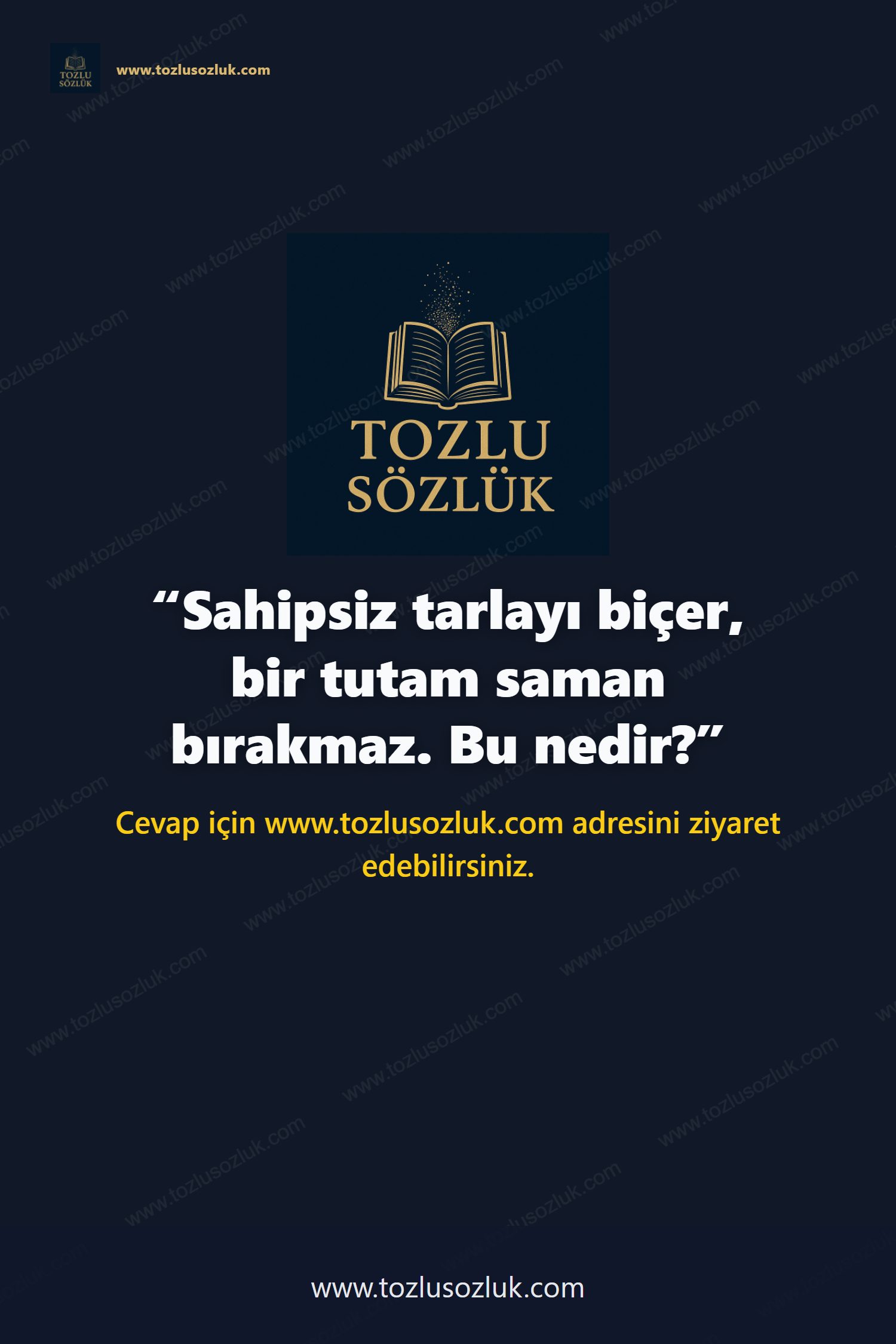 Sahipsiz tarlayı biçer, bir tutam saman bırakmaz. Bu nedir? Pinterest görseli