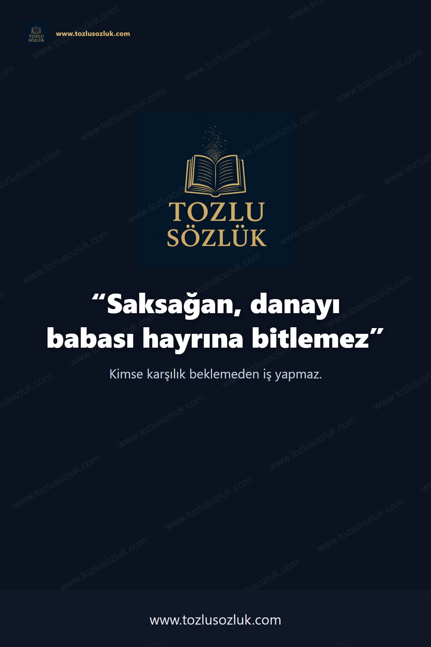 Saksağan, danayı babası hayrına bitlemez Pinterest görseli