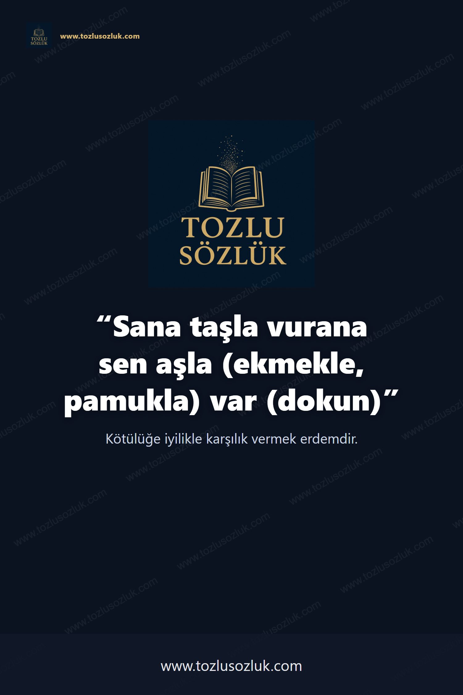 Sana taşla vurana sen aşla (ekmekle, pamukla) var (dokun) Pinterest görseli