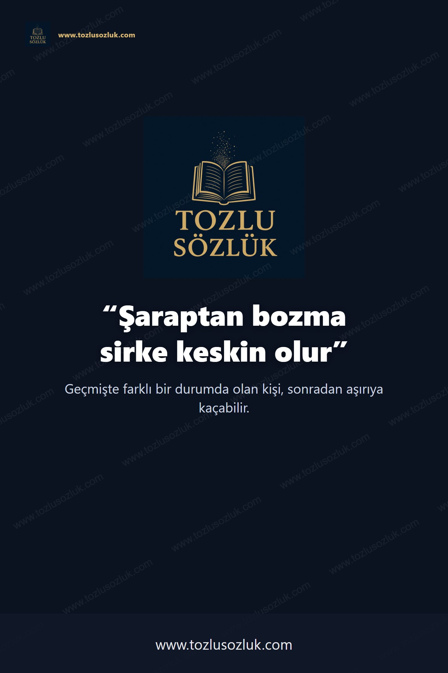 Şaraptan bozma sirke keskin olur Pinterest görseli