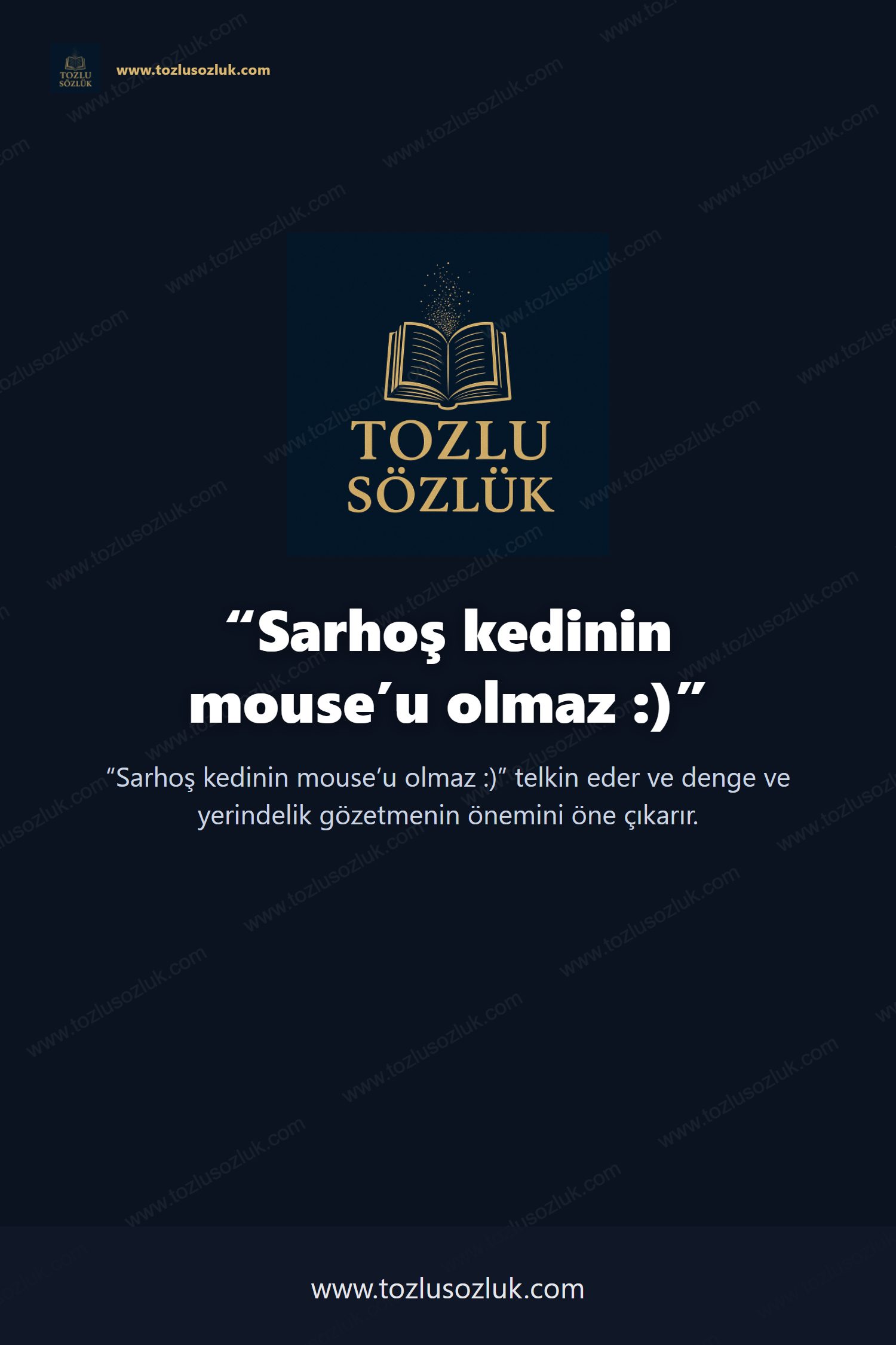 Sarhoş kedinin mouse’u olmaz :) Pinterest görseli