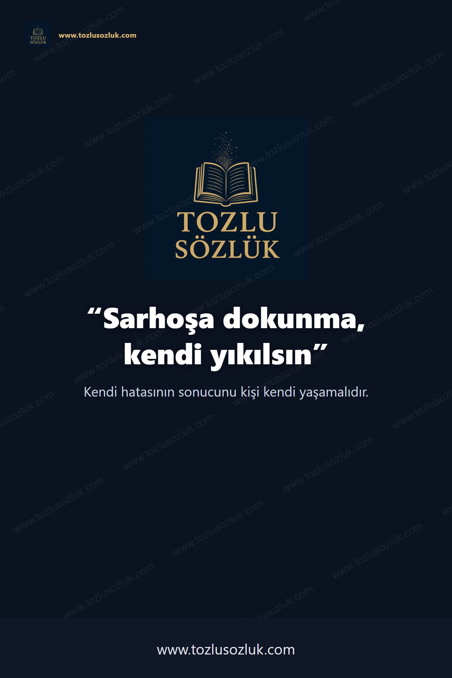 Sarhoşa dokunma, kendi yıkılsın Pinterest görseli