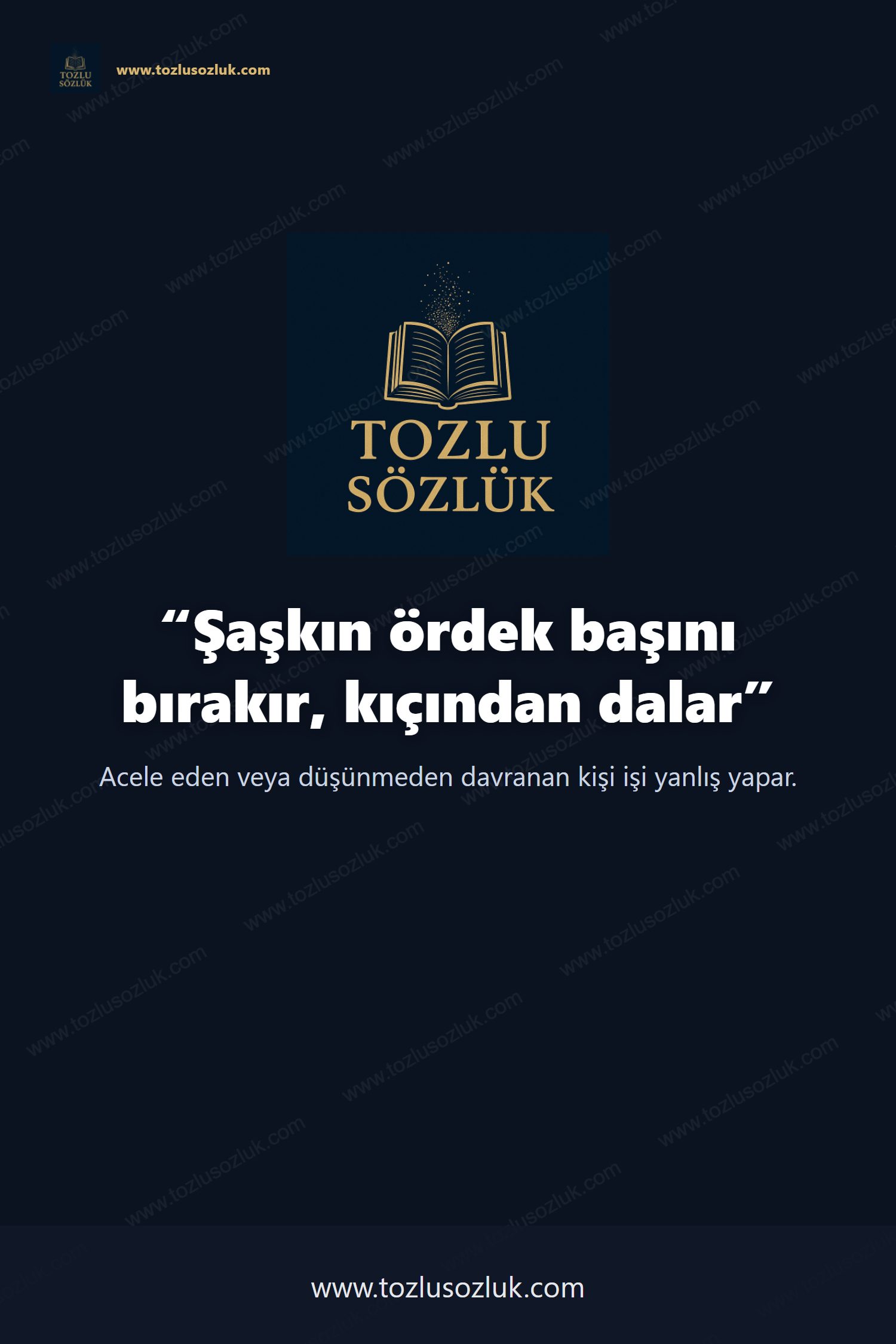 Şaşkın ördek başını bırakır, kıçından dalar Pinterest görseli