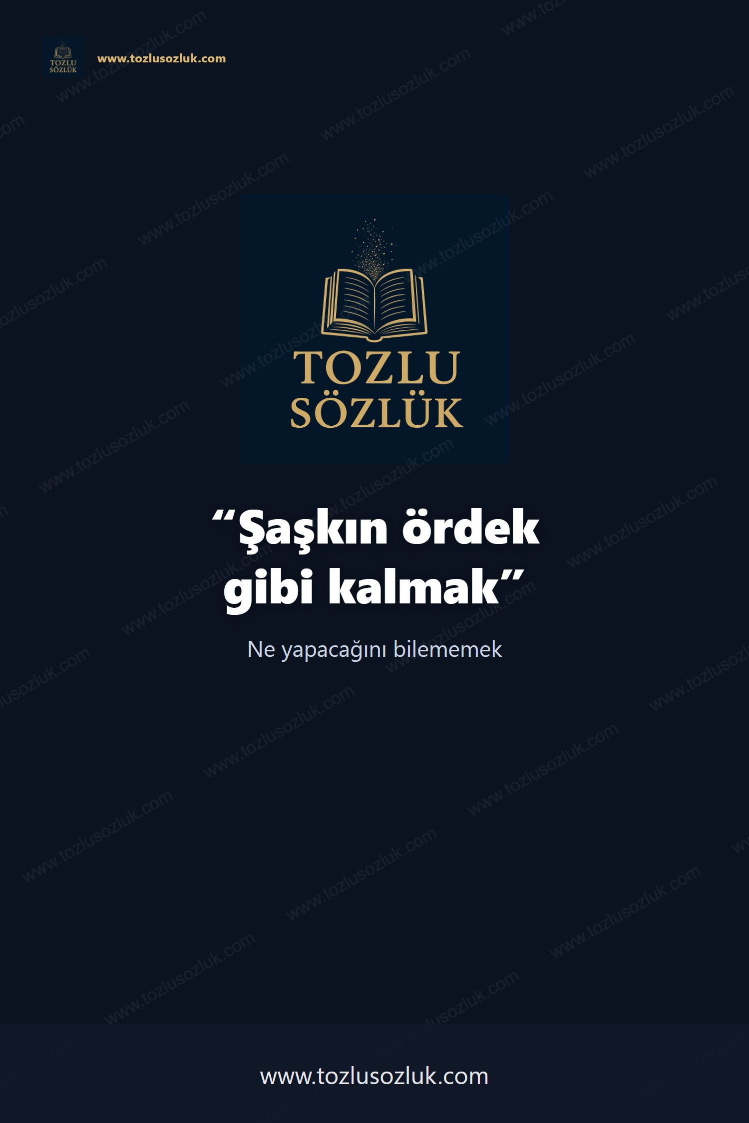 Şaşkın ördek gibi kalmak Pinterest görseli
