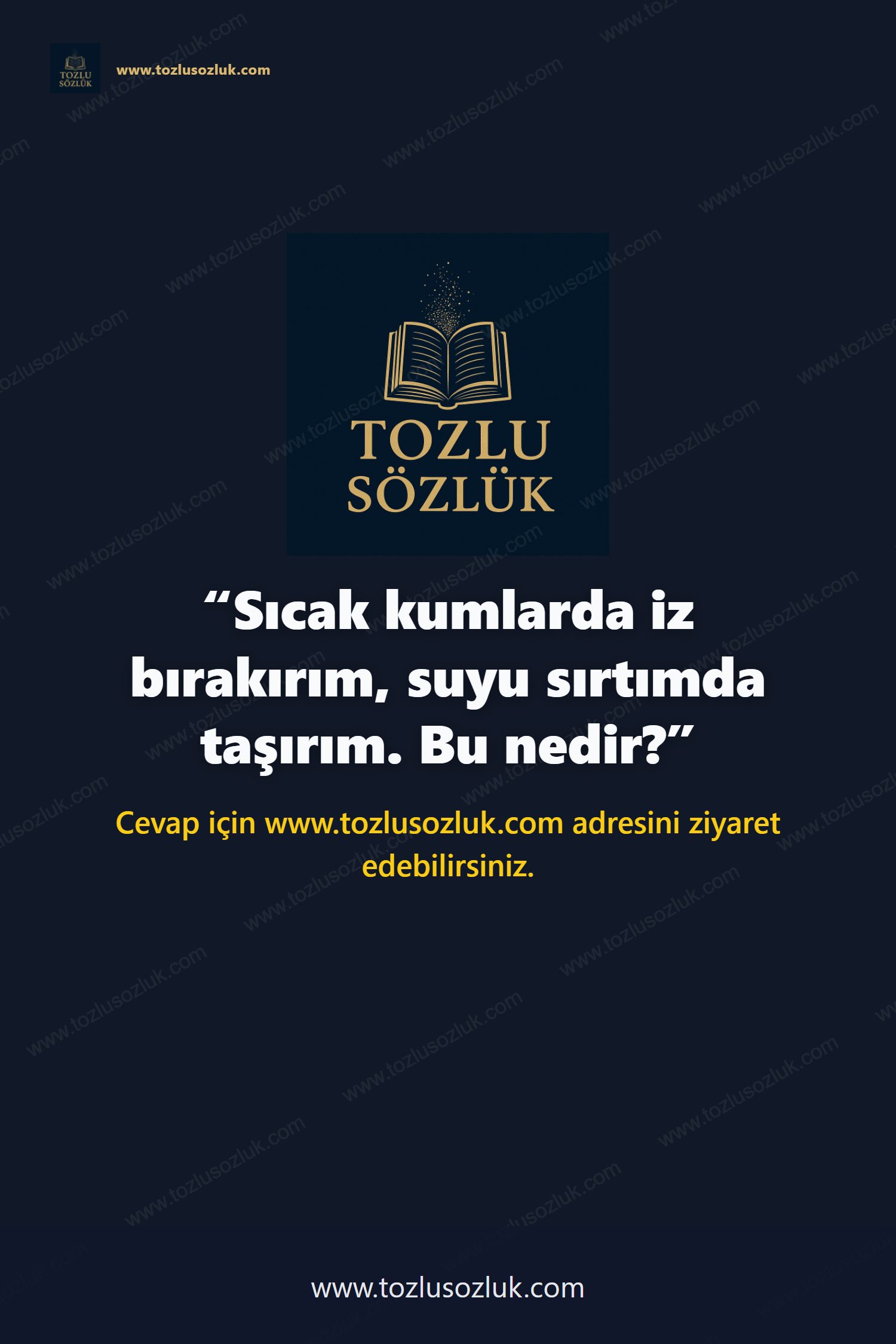 Sıcak kumlarda iz bırakırım, suyu sırtımda taşırım. Bu nedir? Pinterest görseli