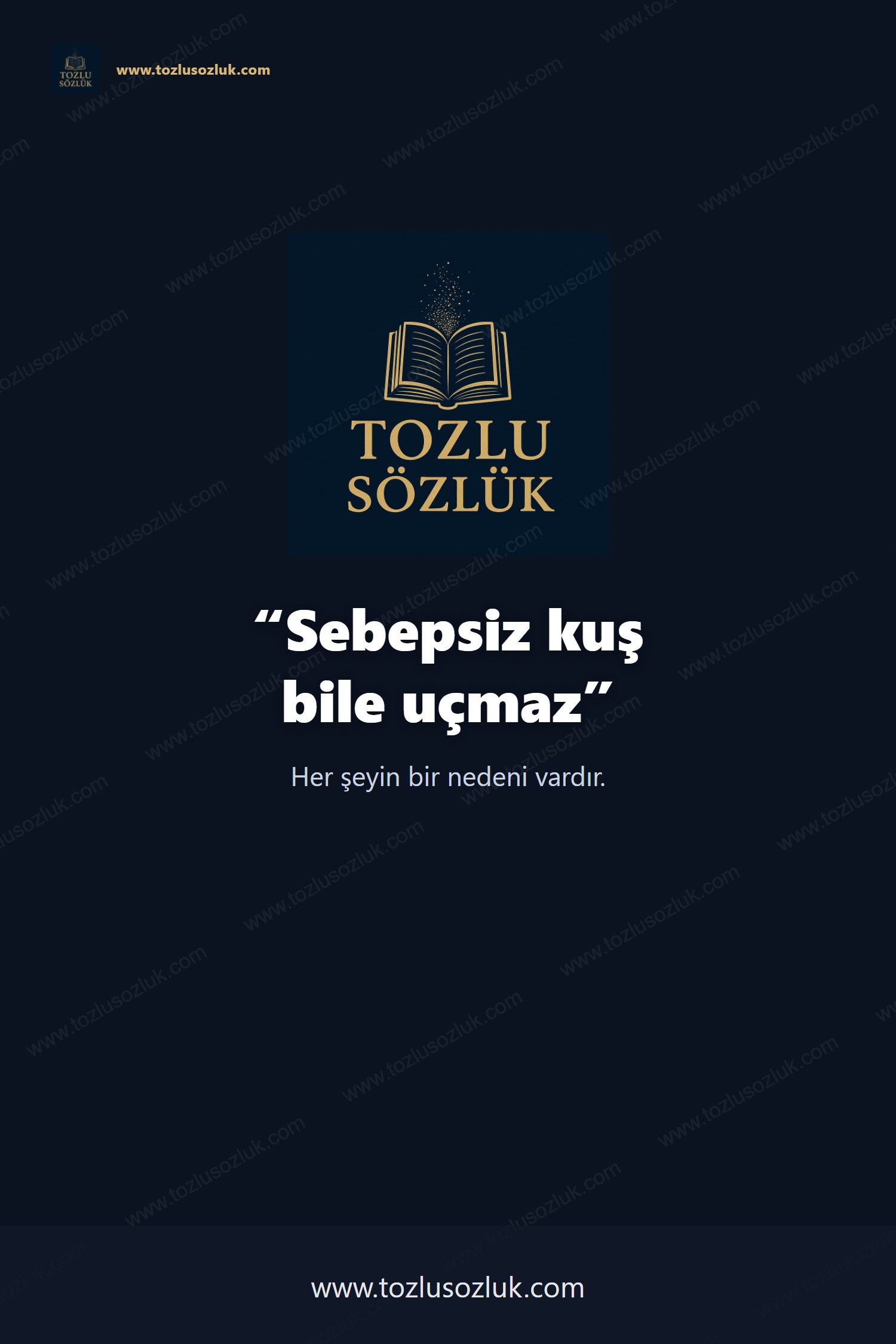 Sebepsiz kuş bile uçmaz Pinterest görseli