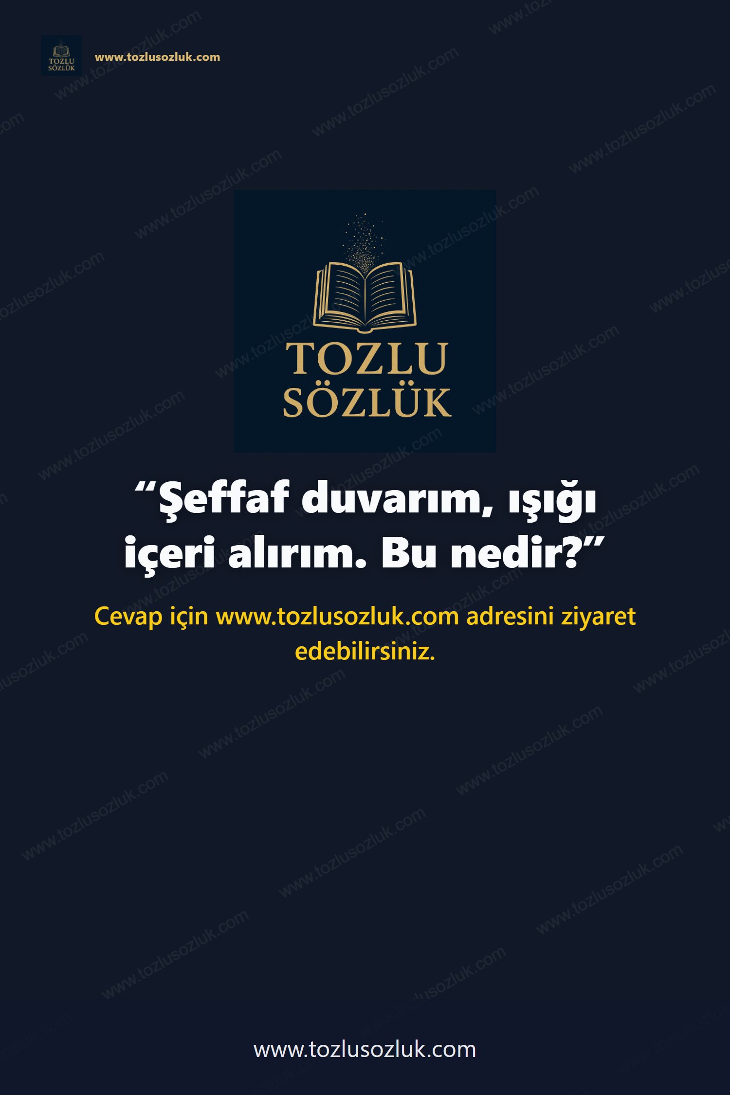Şeffaf duvarım, ışığı içeri alırım. Bu nedir? Pinterest görseli