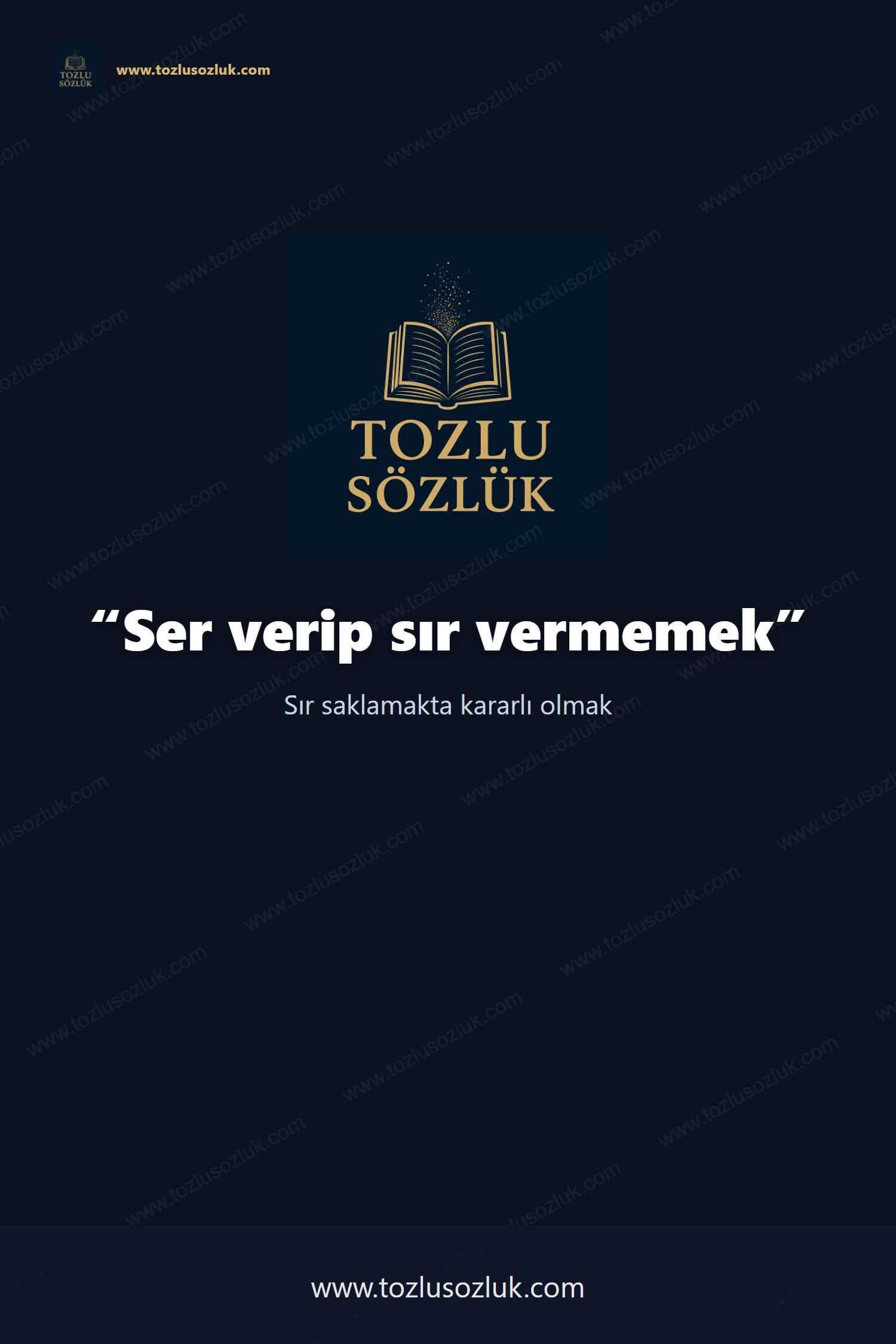 Ser verip sır vermemek Pinterest görseli