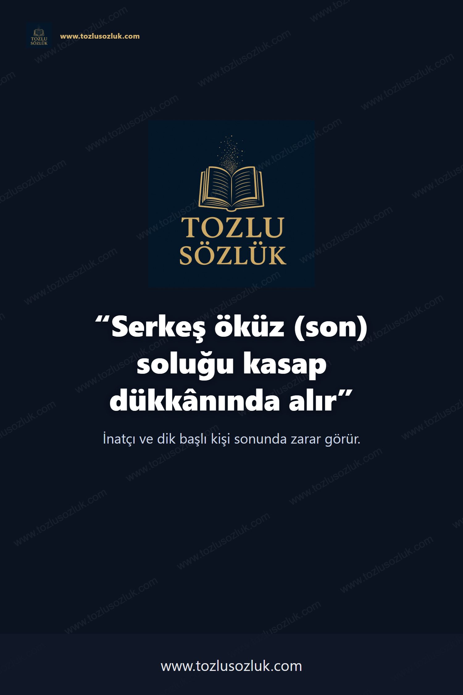 Serkeş öküz (son) soluğu kasap dükkânında alır Pinterest görseli