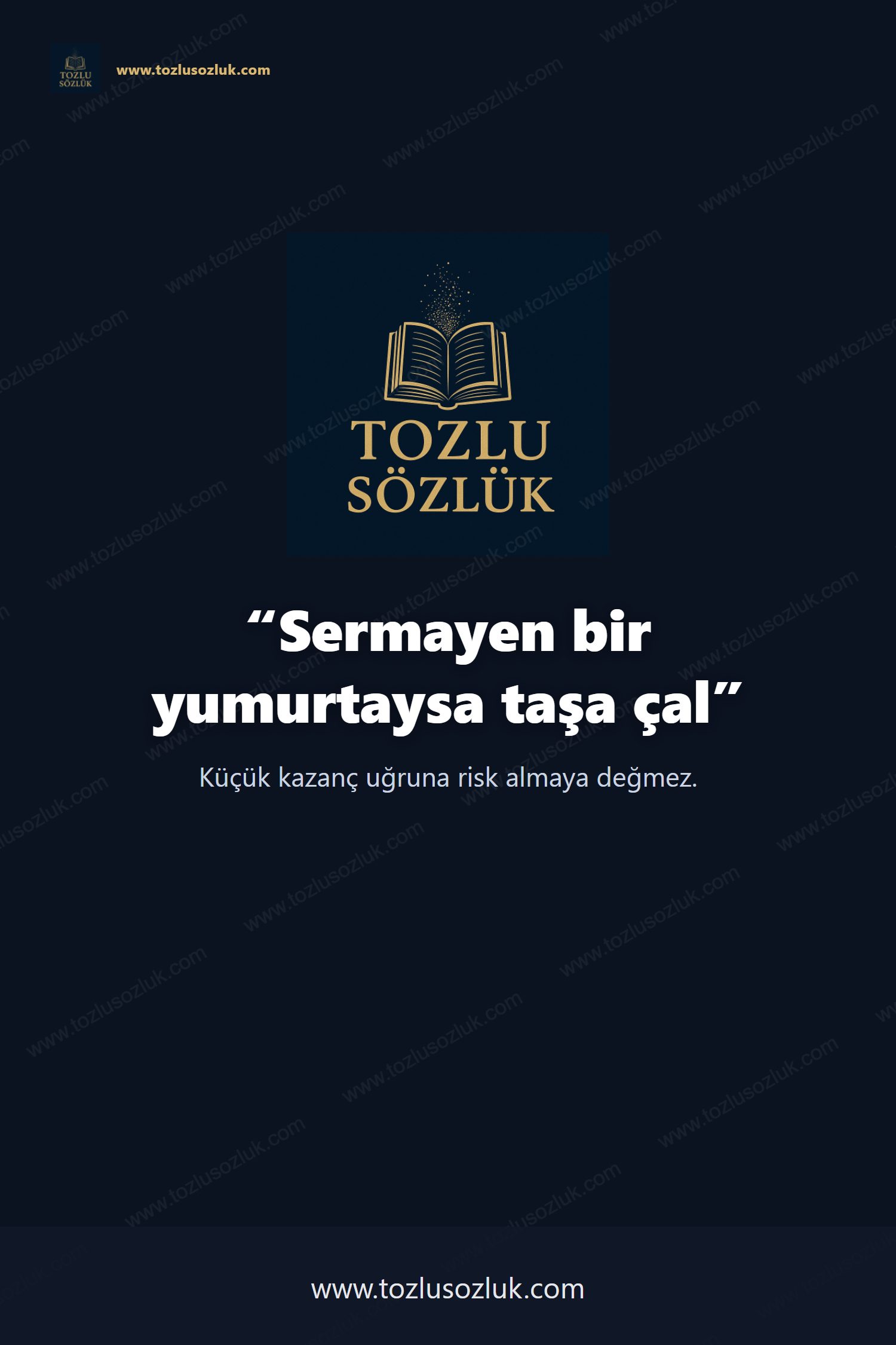 Sermayen bir yumurtaysa taşa çal Pinterest görseli