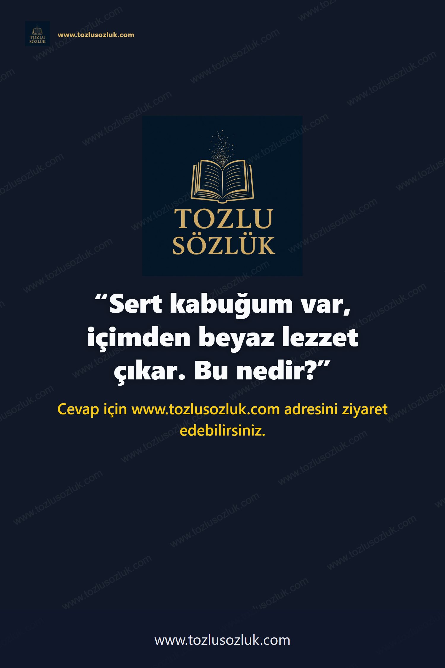 Sert kabuğum var, içimden beyaz lezzet çıkar. Bu nedir? Pinterest görseli