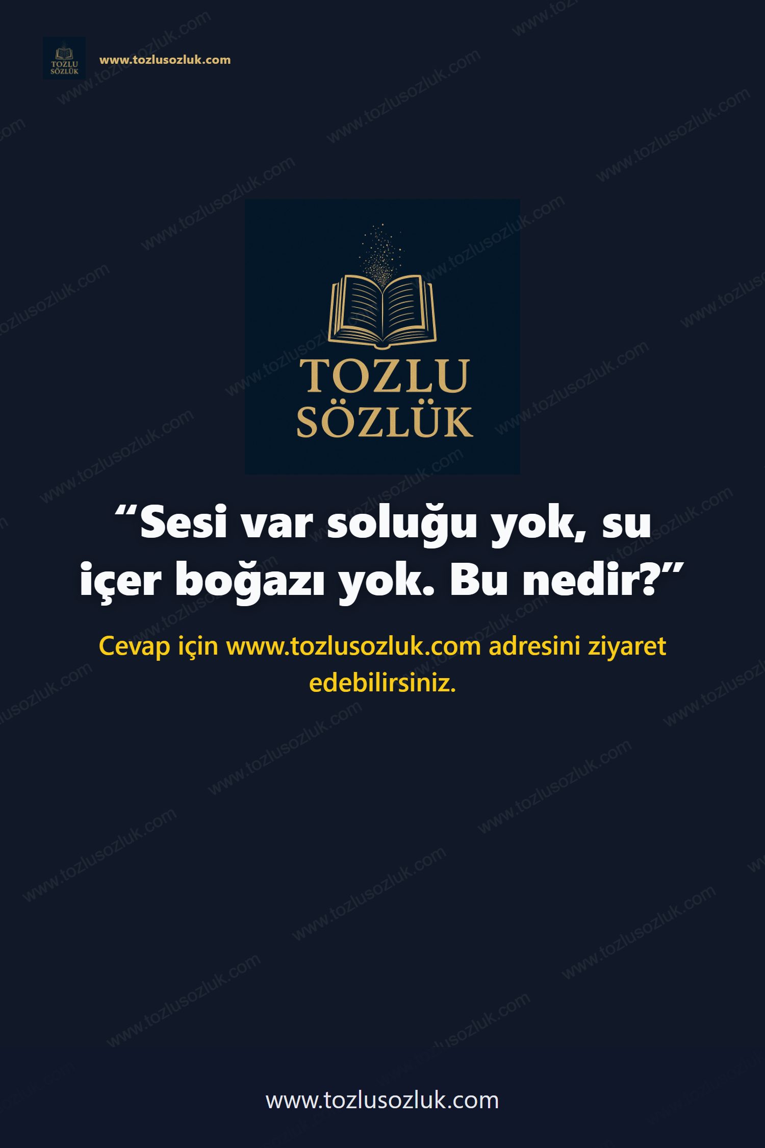 Sesi var soluğu yok, su içer boğazı yok. Bu nedir? Pinterest görseli