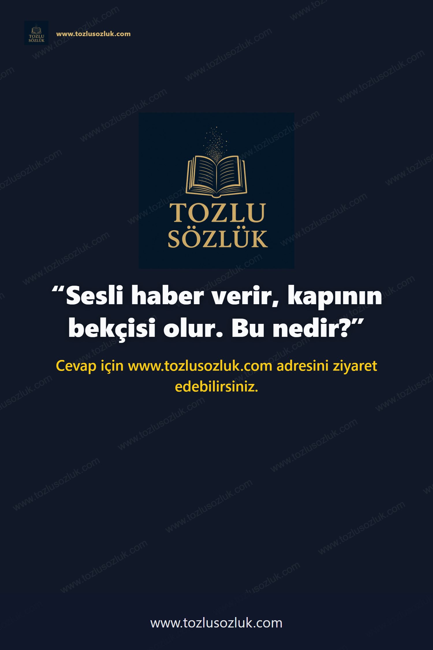 Sesli haber verir, kapının bekçisi olur. Bu nedir? Pinterest görseli