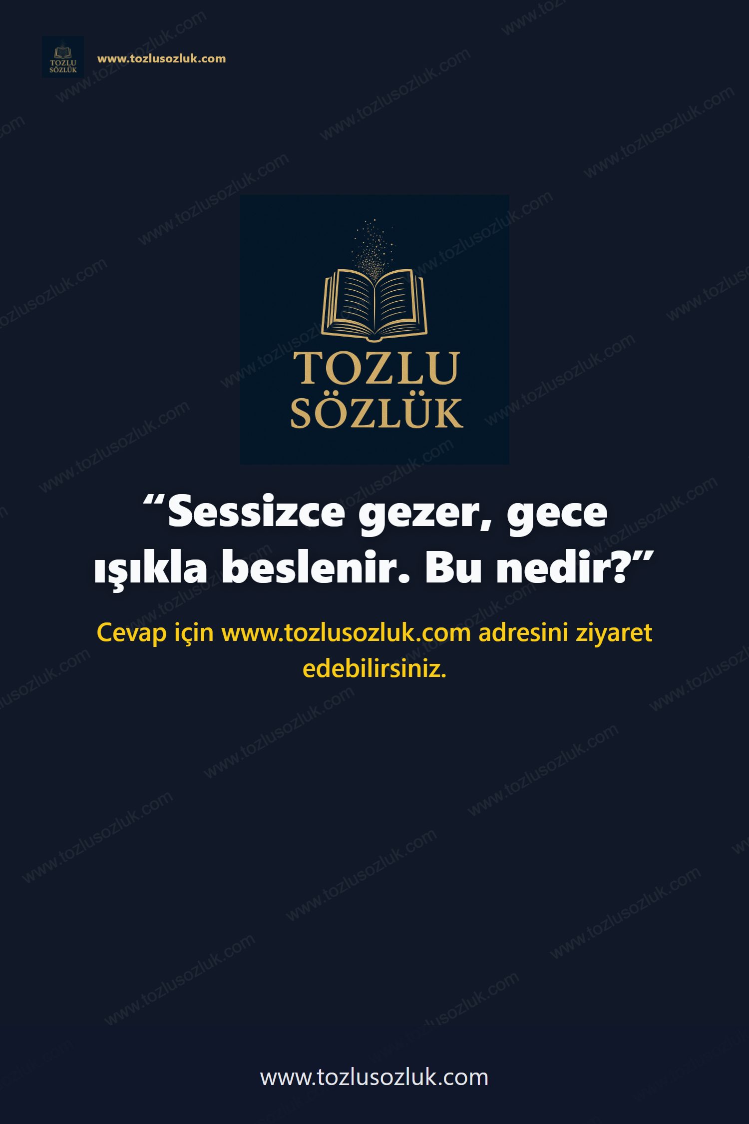 Sessizce gezer, gece ışıkla beslenir. Bu nedir? Pinterest görseli