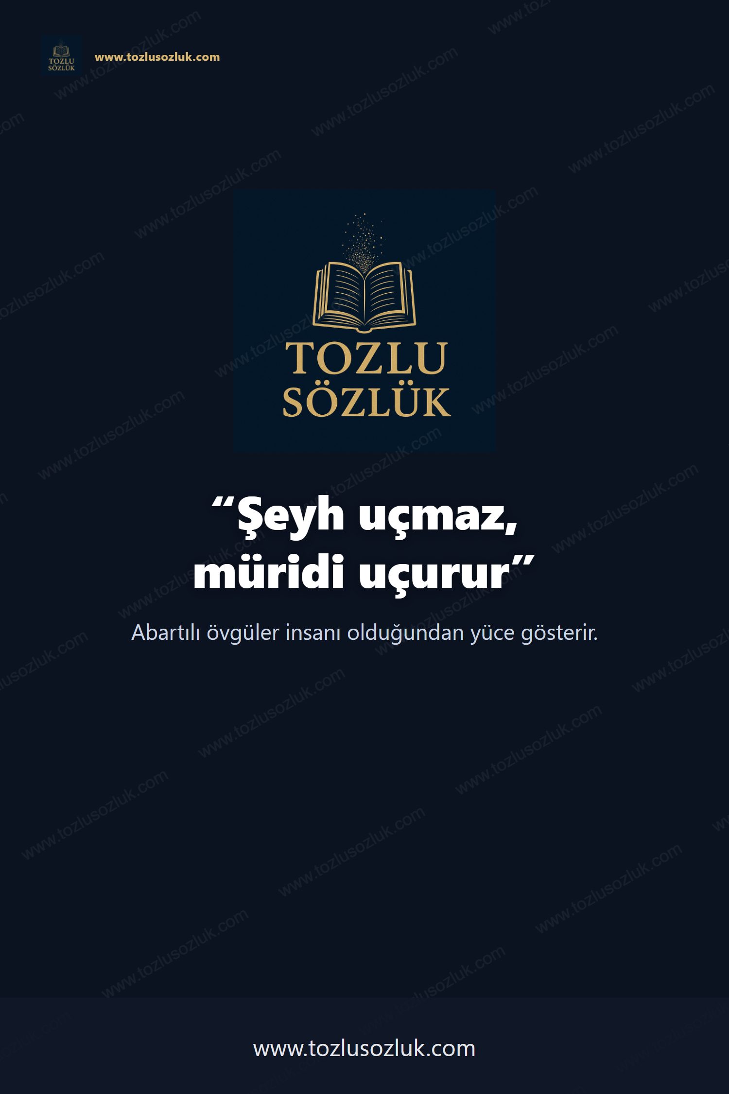 Şeyh uçmaz, müridi uçurur Pinterest görseli