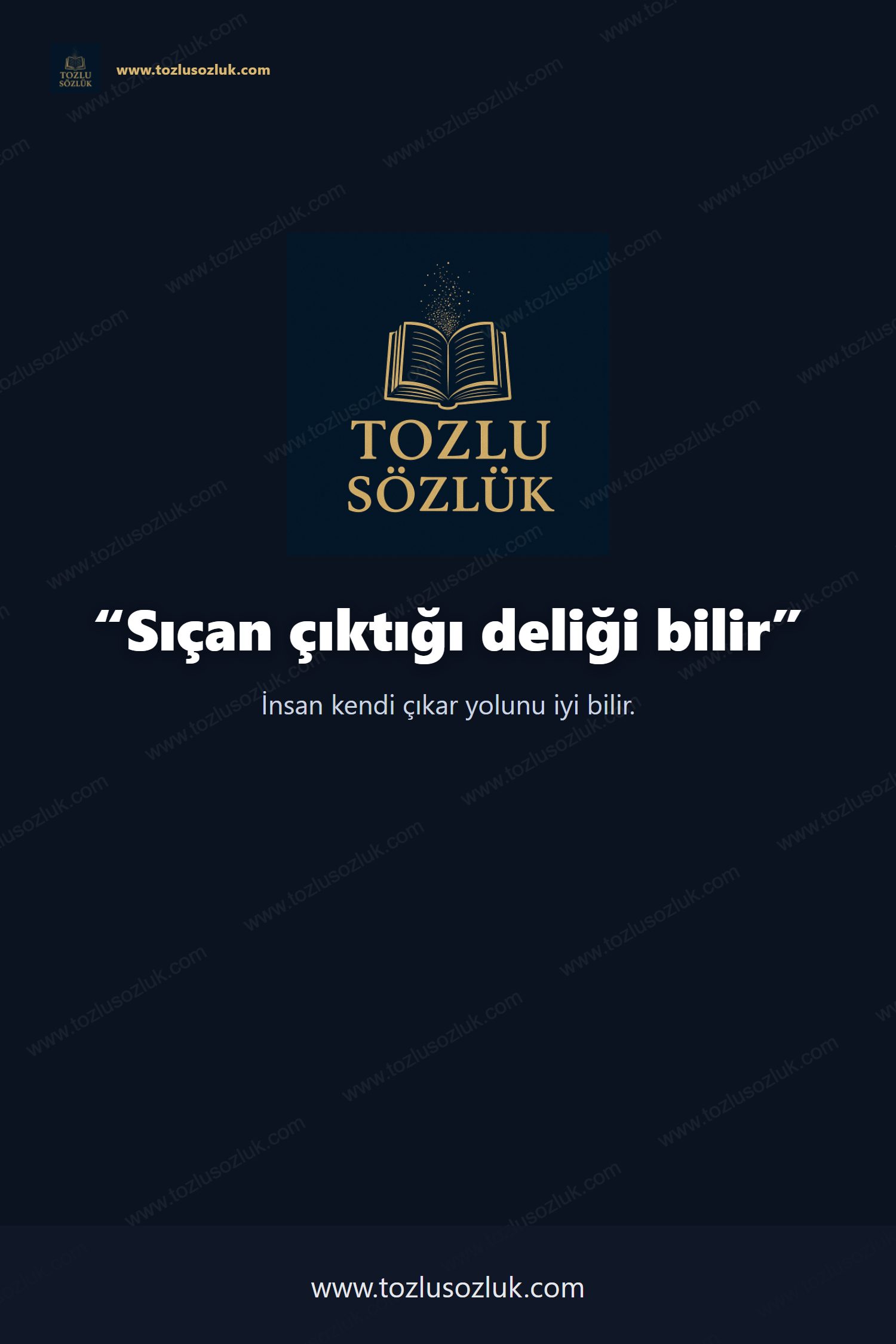 Sıçan çıktığı deliği bilir Pinterest görseli