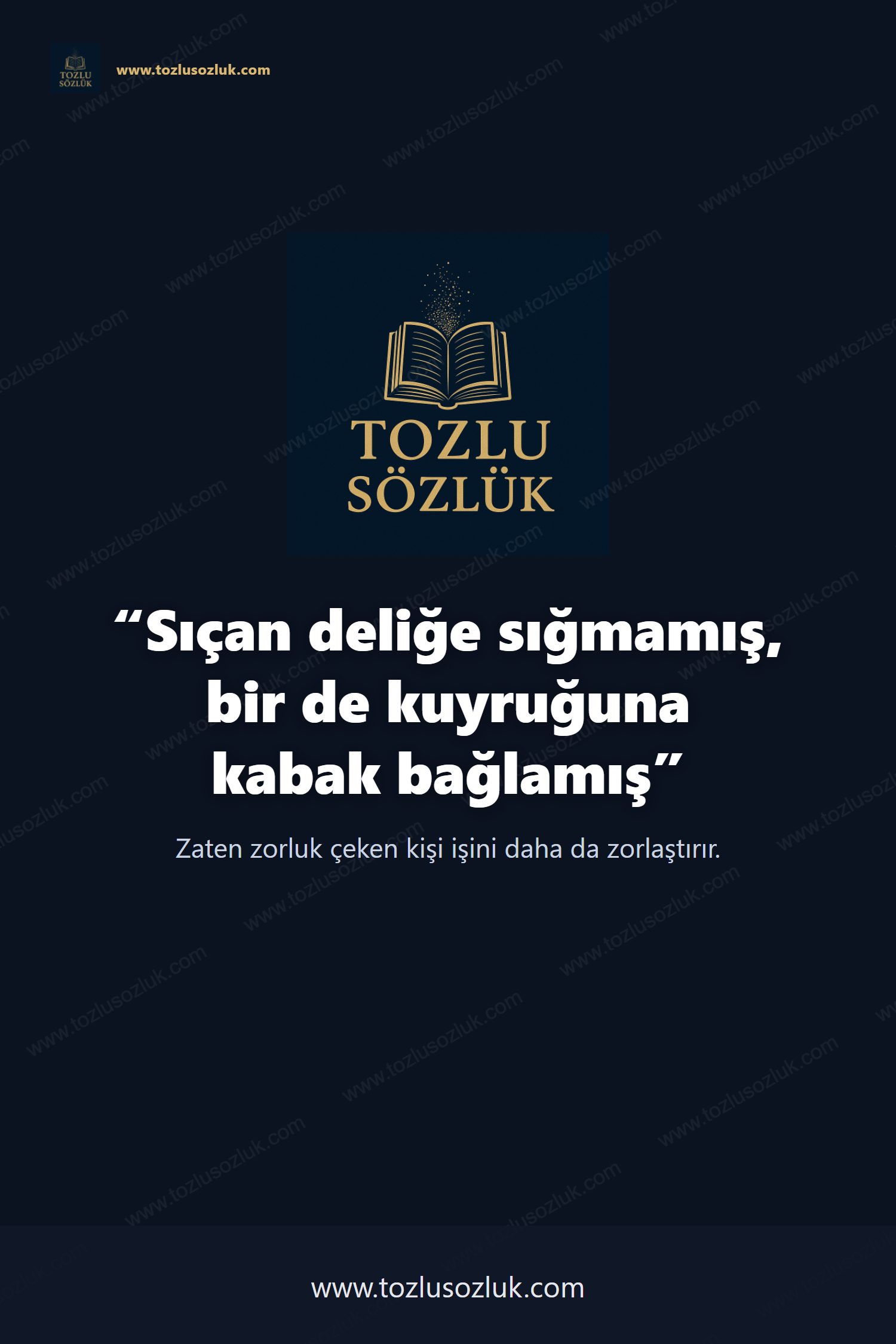 Sıçan deliğe sığmamış, bir de kuyruğuna kabak bağlamış Pinterest görseli