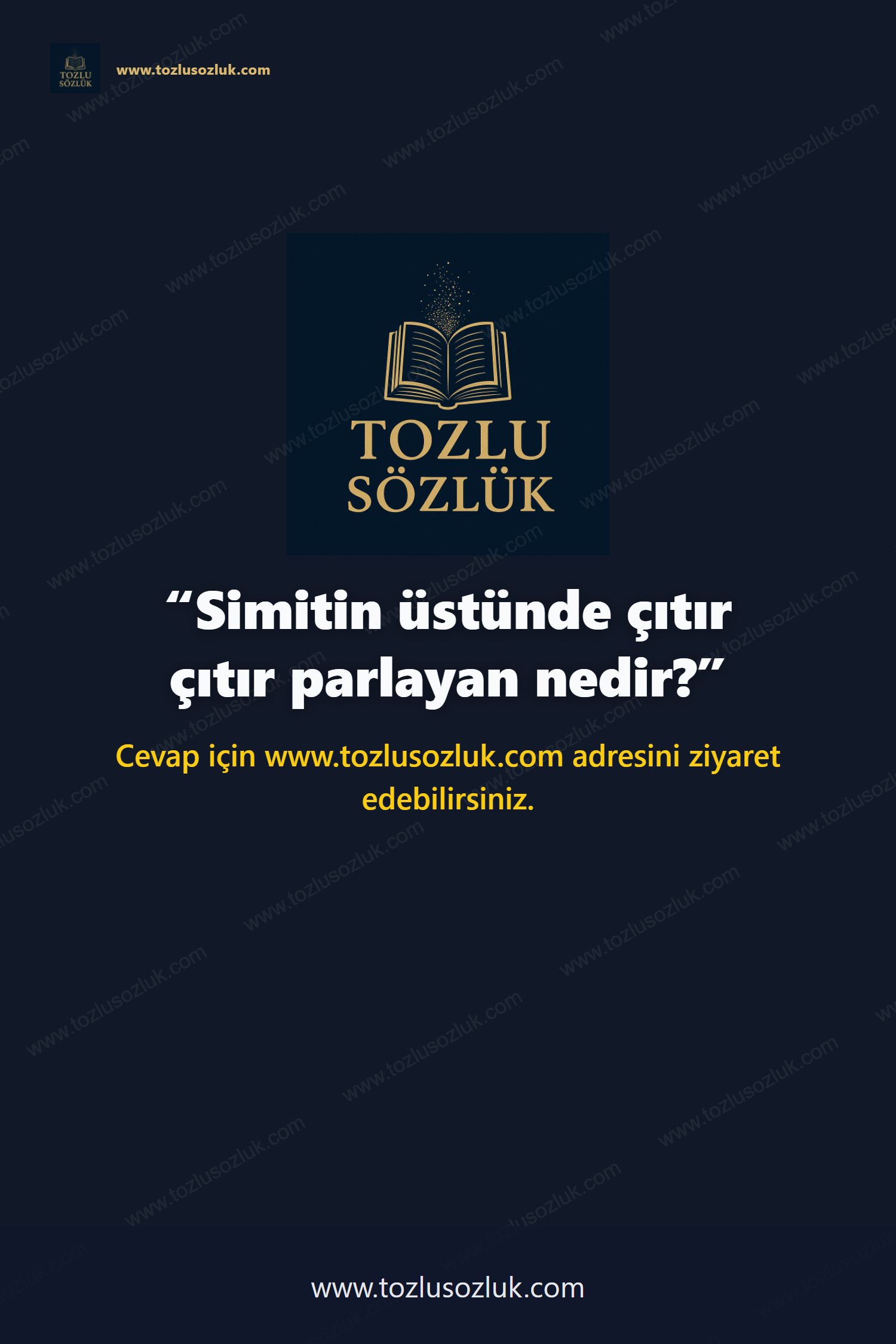 Simitin üstünde çıtır çıtır parlayan nedir? Pinterest görseli