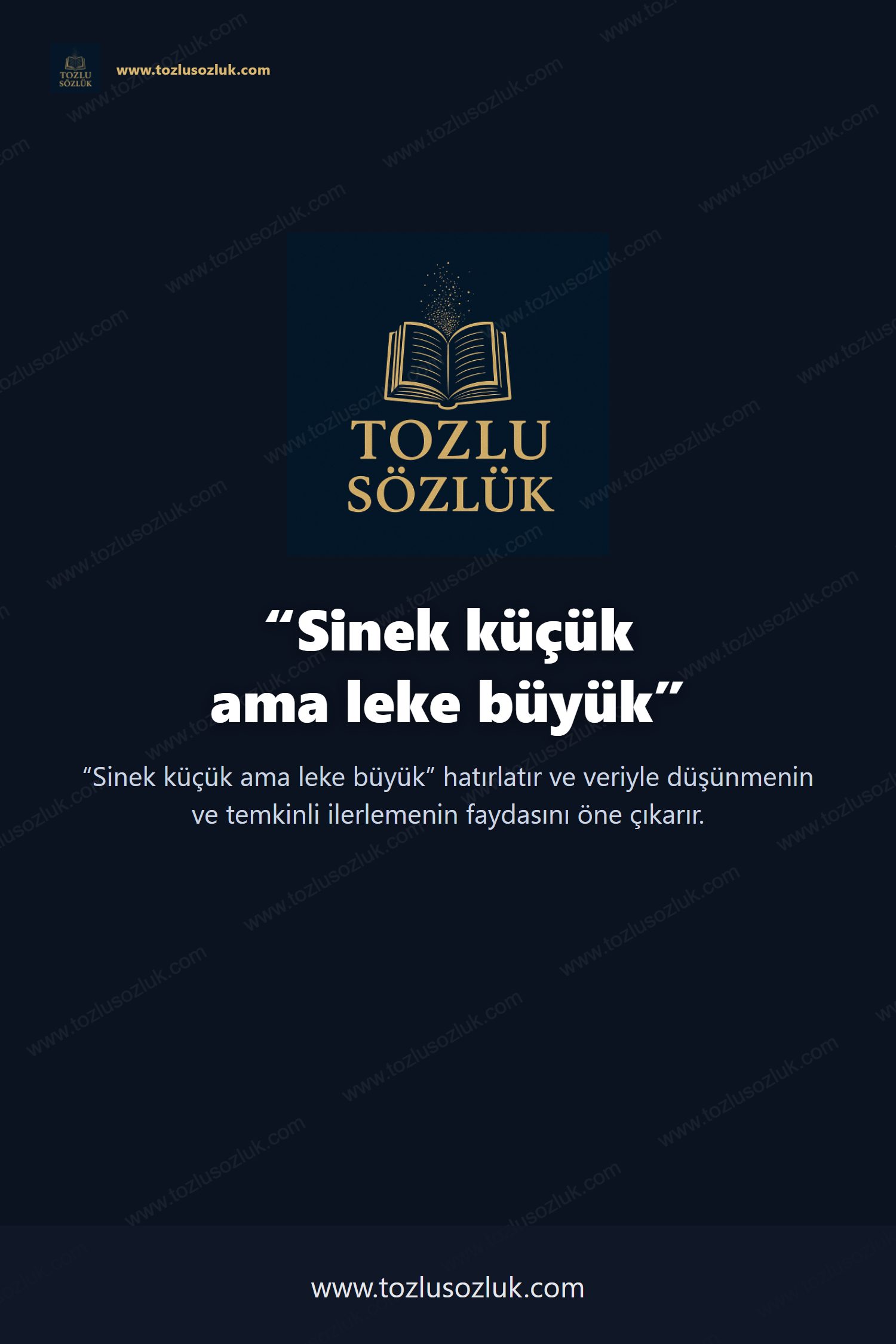 Sinek küçük ama leke büyük Pinterest görseli
