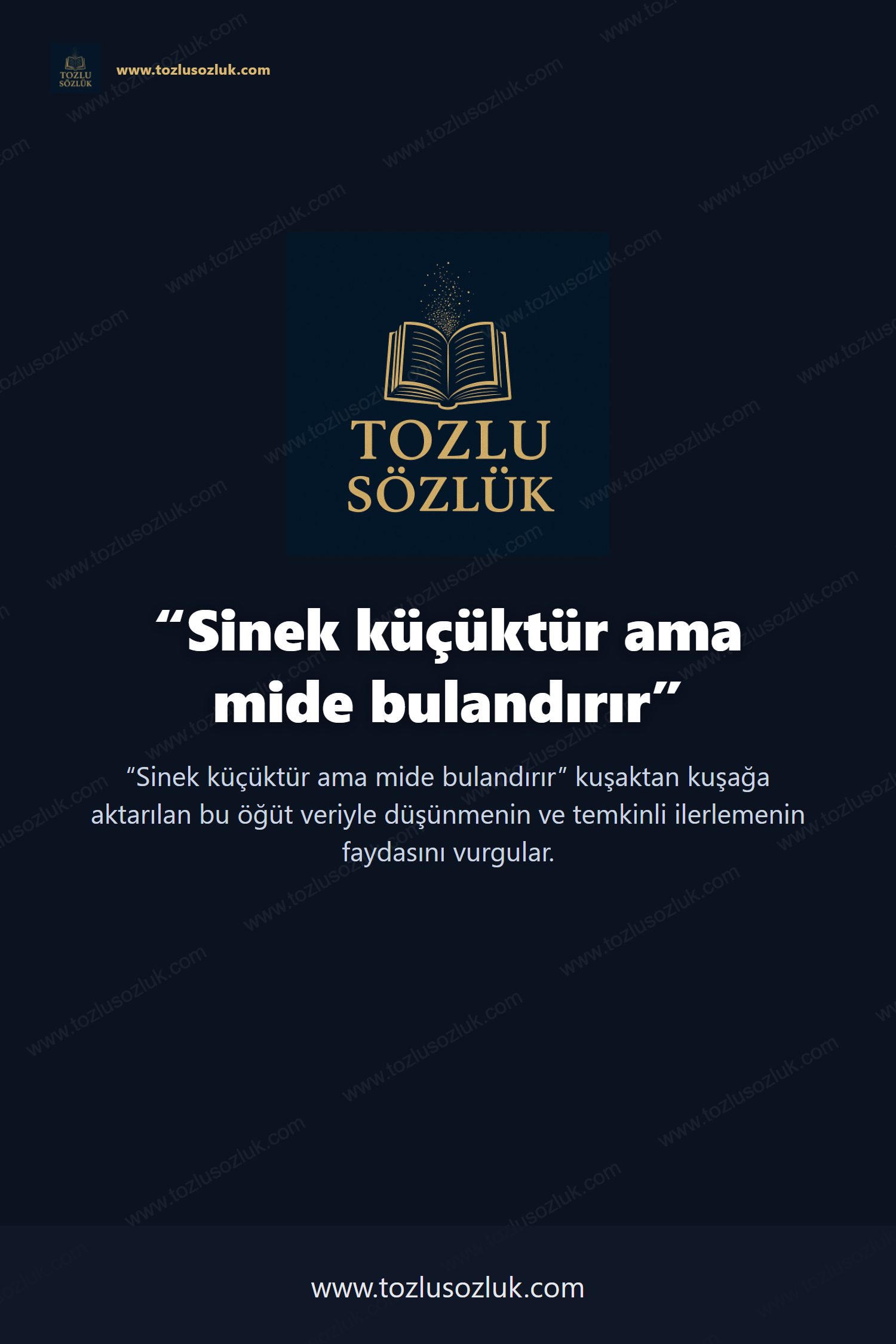 Sinek küçüktür ama mide bulandırır Pinterest görseli