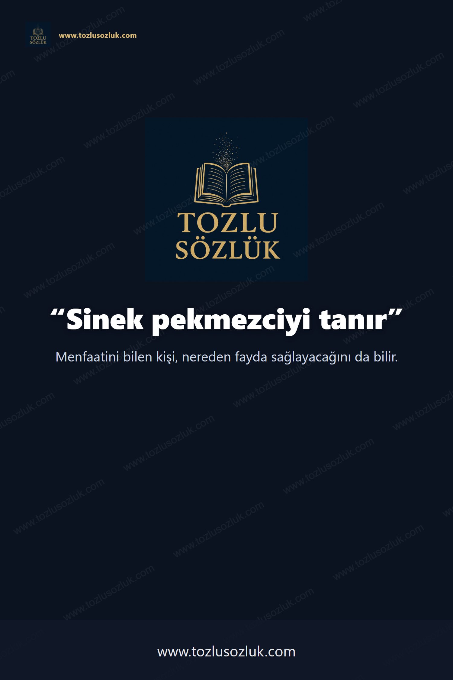 Sinek pekmezciyi tanır Pinterest görseli