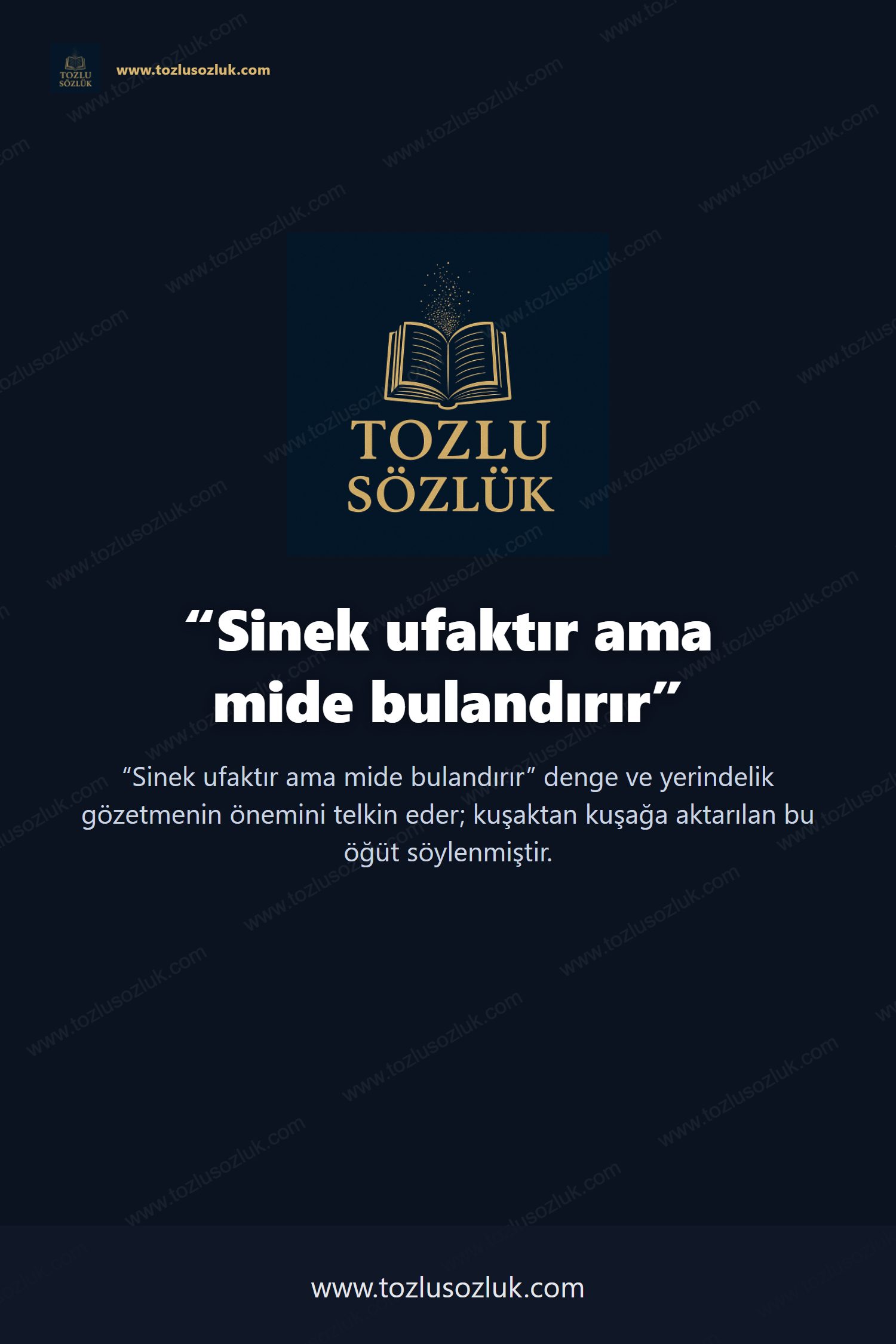 Sinek ufaktır ama mide bulandırır Pinterest görseli