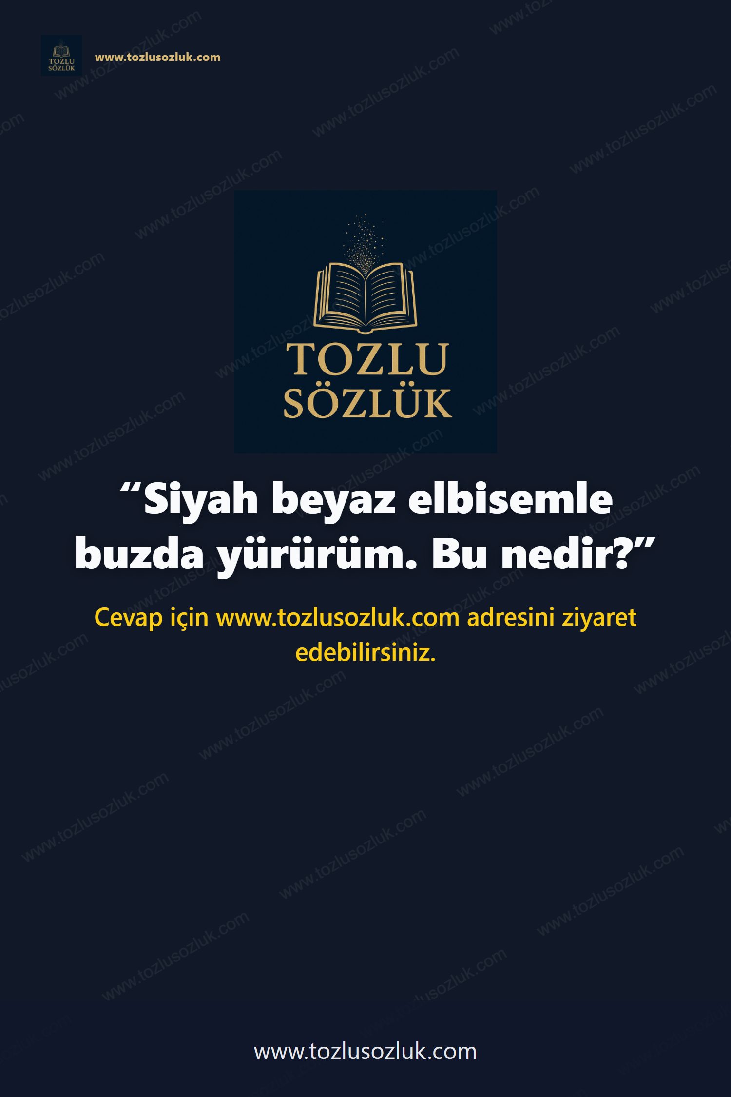Siyah beyaz elbisemle buzda yürürüm. Bu nedir? Pinterest görseli