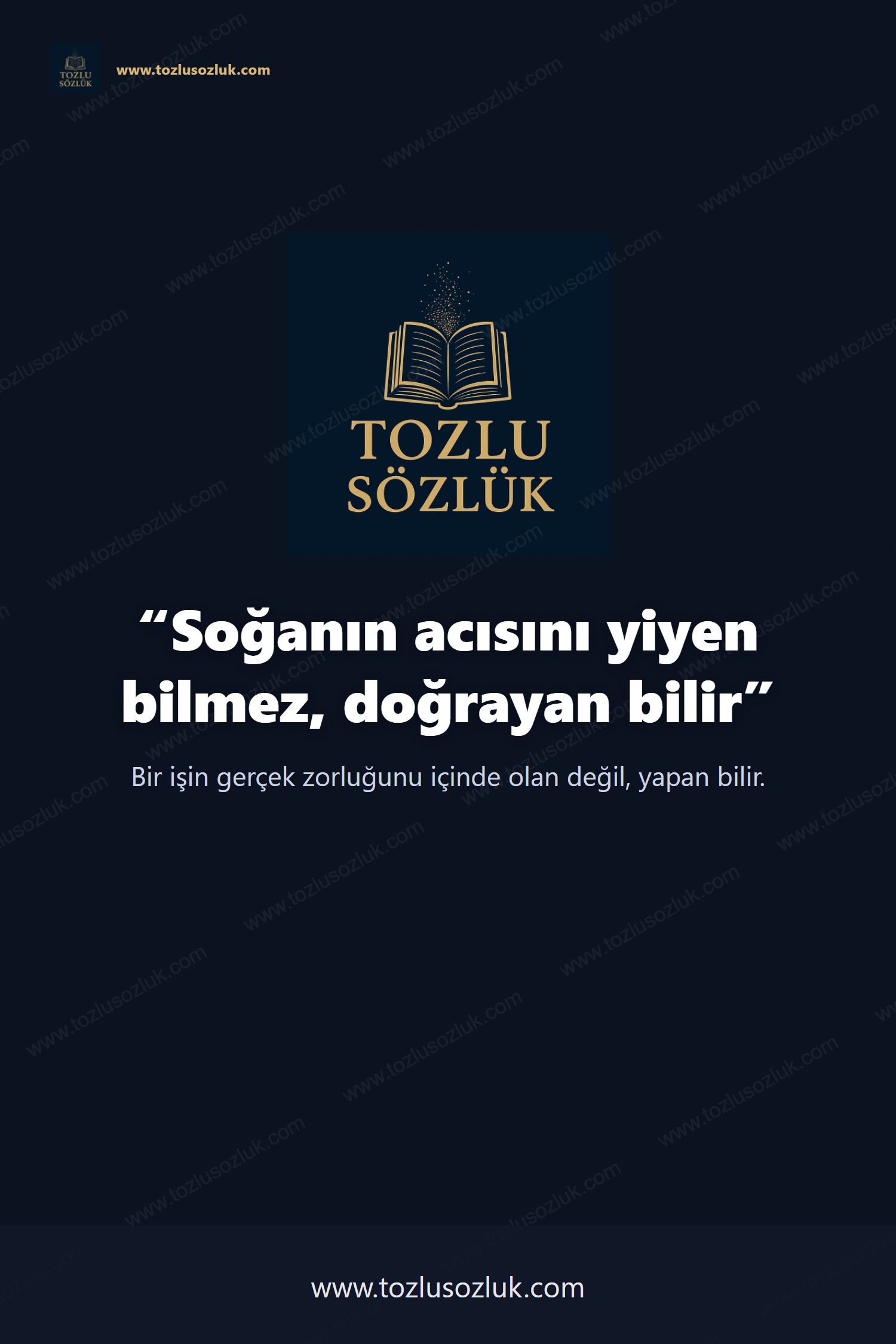Soğanın acısını yiyen bilmez, doğrayan bilir Pinterest görseli