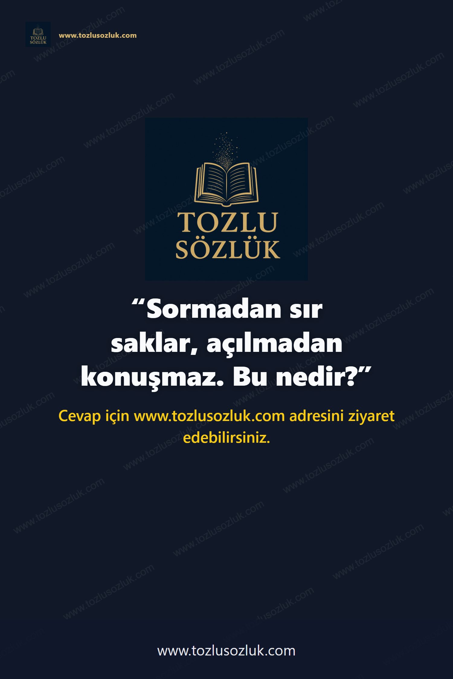 Sormadan sır saklar, açılmadan konuşmaz. Bu nedir? Pinterest görseli
