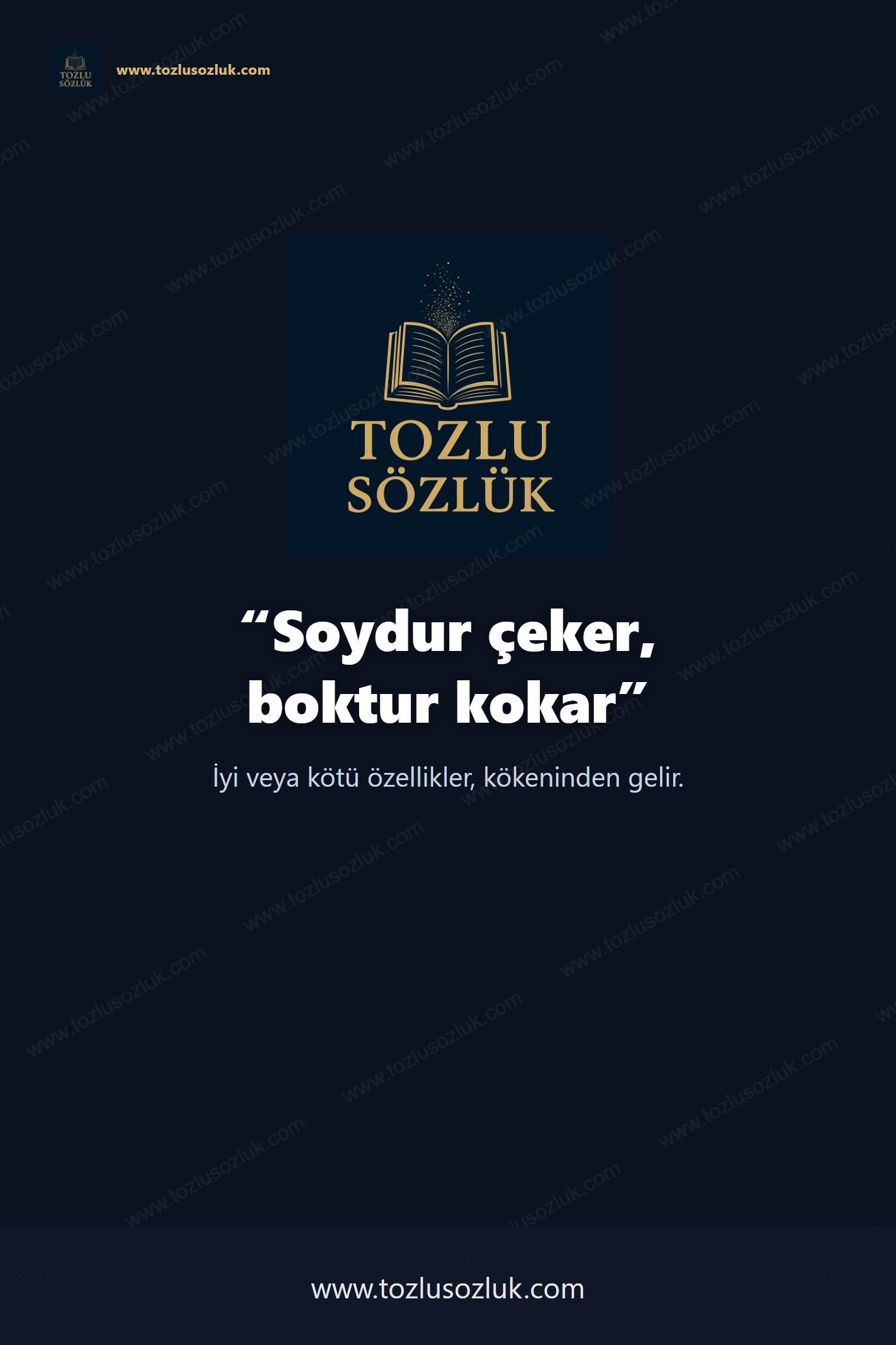 Soydur çeker, boktur kokar Pinterest görseli