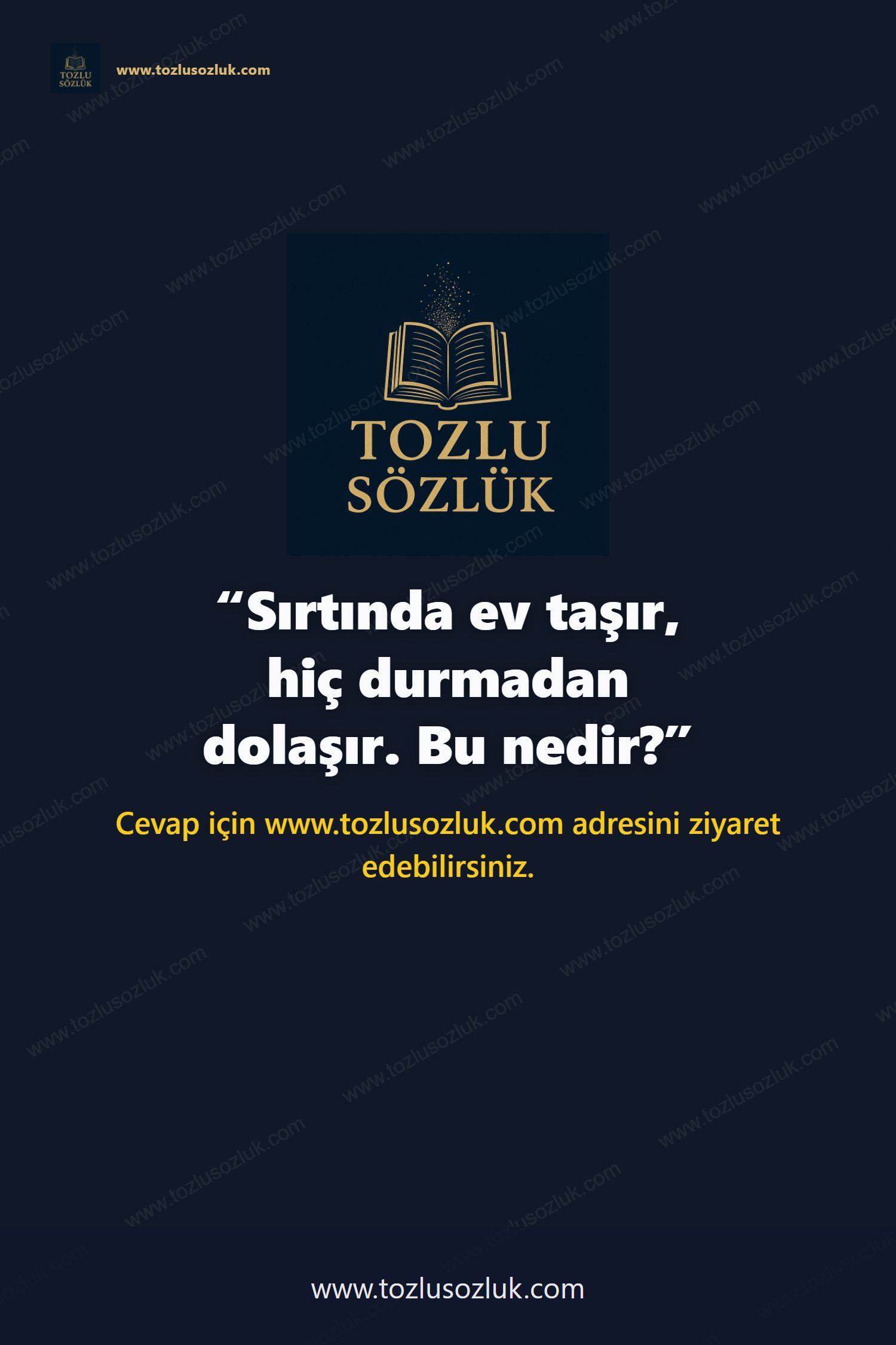 Sırtında ev taşır, hiç durmadan dolaşır. Bu nedir? Pinterest görseli