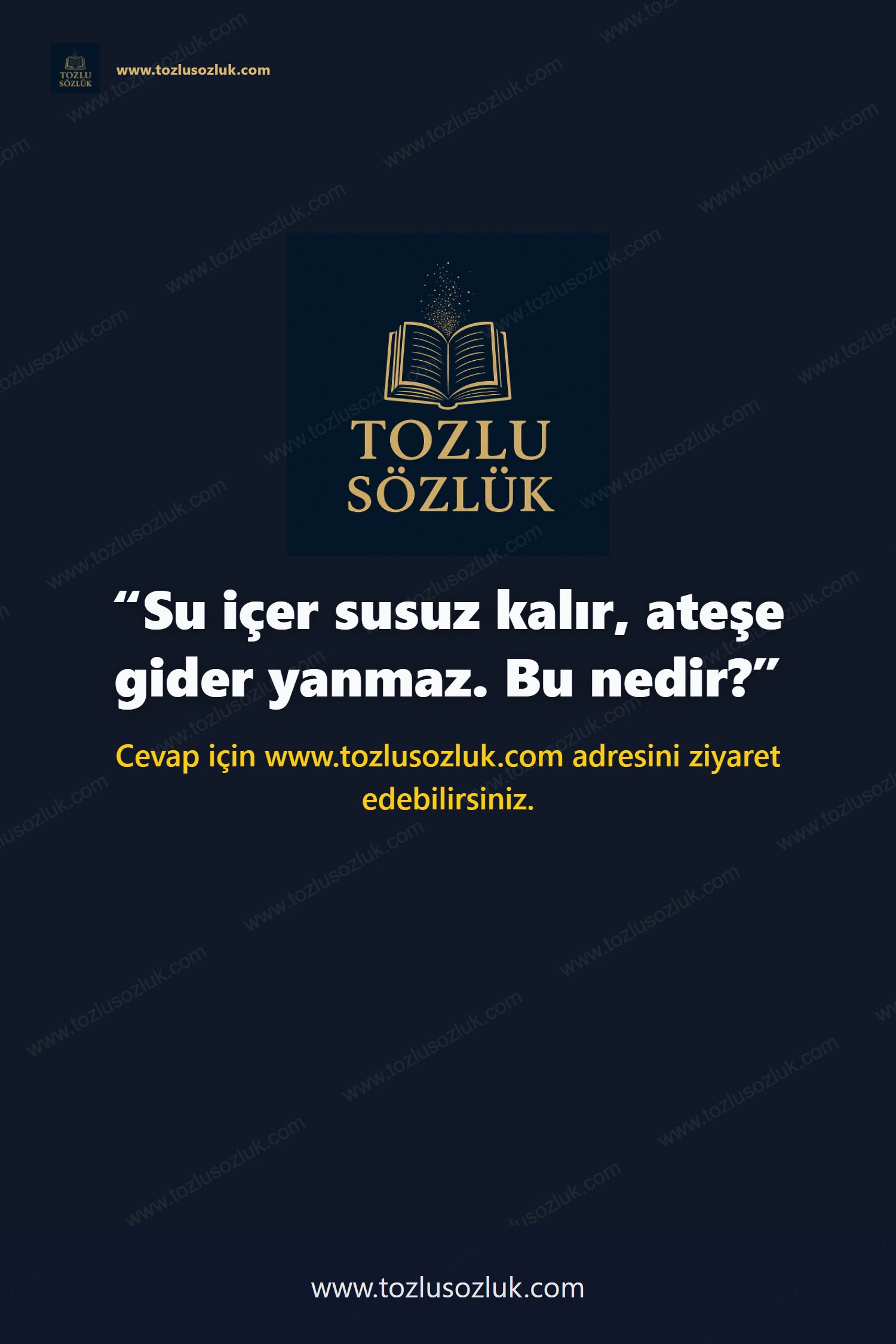 Su içer susuz kalır, ateşe gider yanmaz. Bu nedir? Pinterest görseli