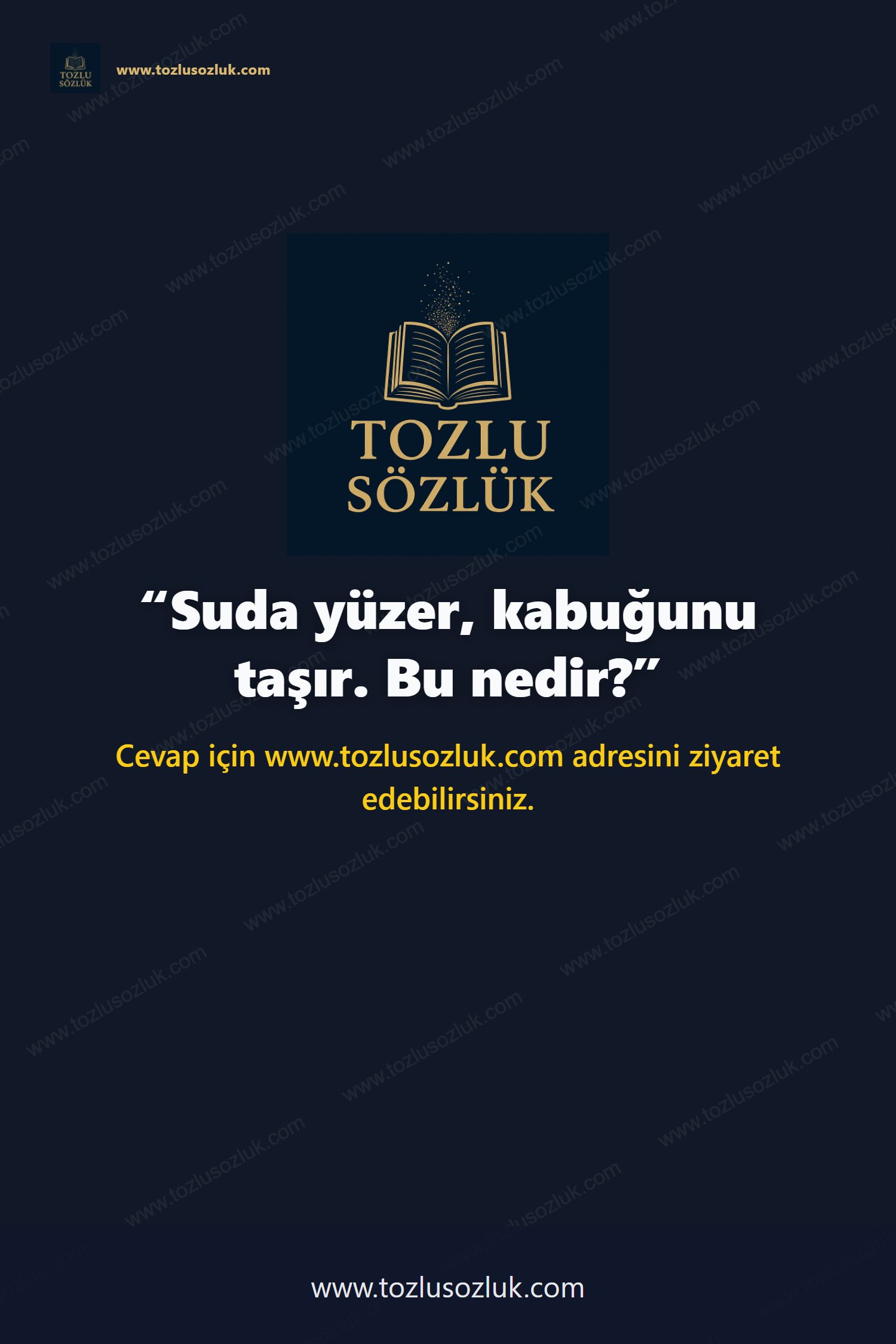 Suda yüzer, kabuğunu taşır. Bu nedir? Pinterest görseli