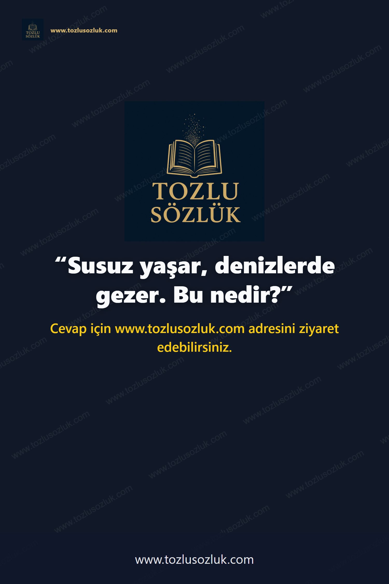 Susuz yaşar, denizlerde gezer. Bu nedir? Pinterest görseli