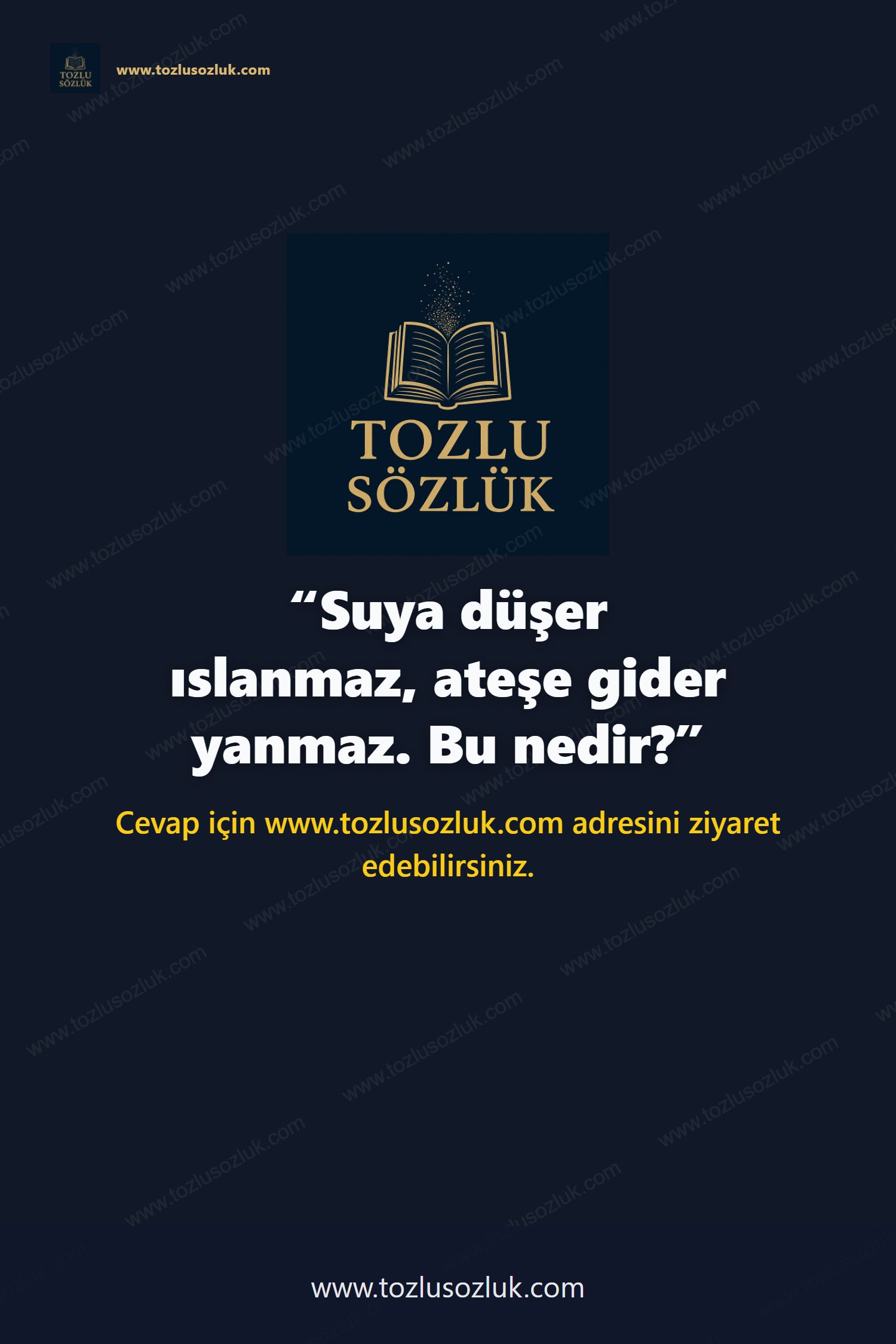 Suya düşer ıslanmaz, ateşe gider yanmaz. Bu nedir? Pinterest görseli