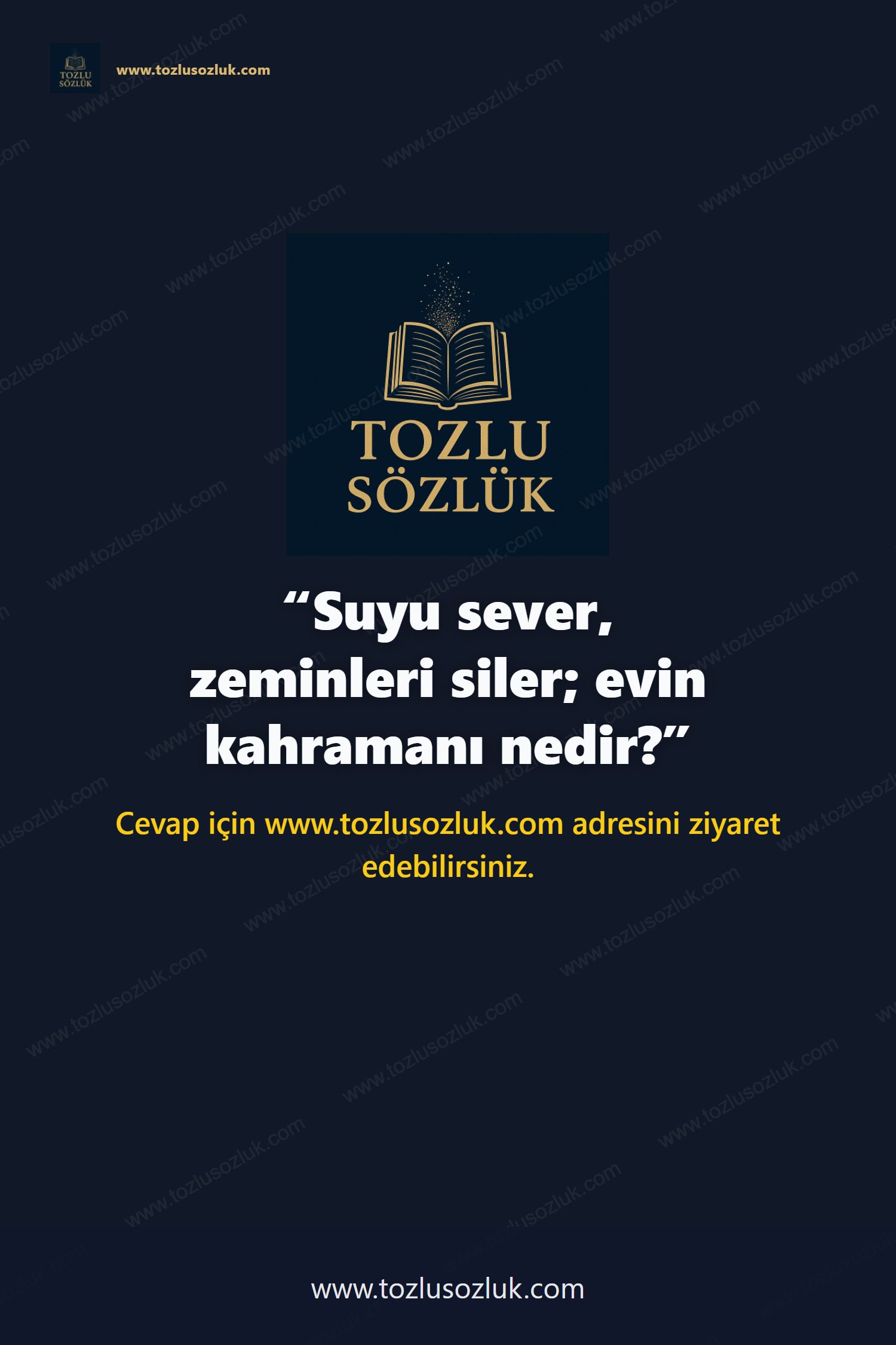 Suyu sever, zeminleri siler; evin kahramanı nedir? Pinterest görseli