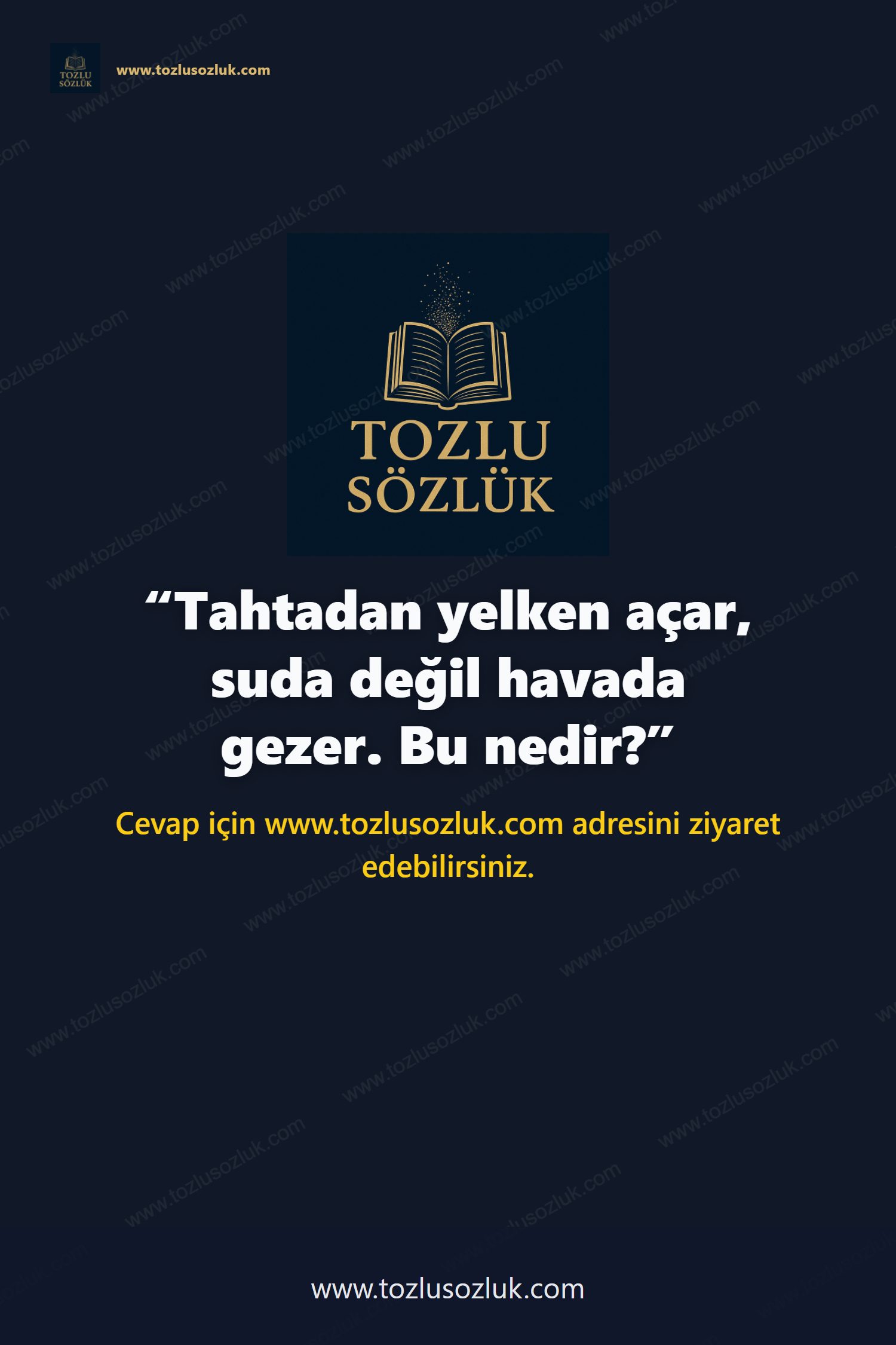 Tahtadan yelken açar, suda değil havada gezer. Bu nedir? Pinterest görseli