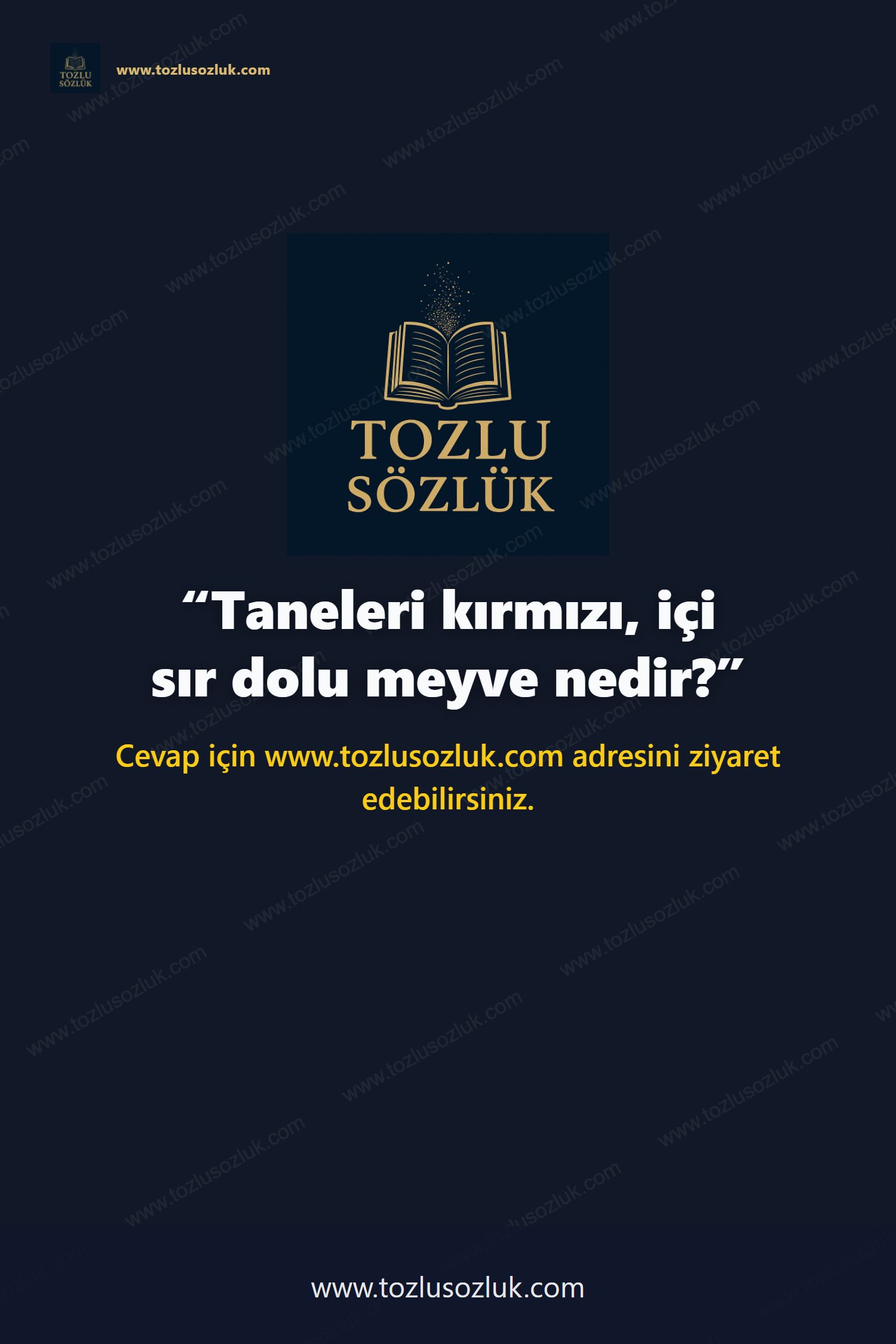 Taneleri kırmızı, içi sır dolu meyve nedir? Pinterest görseli