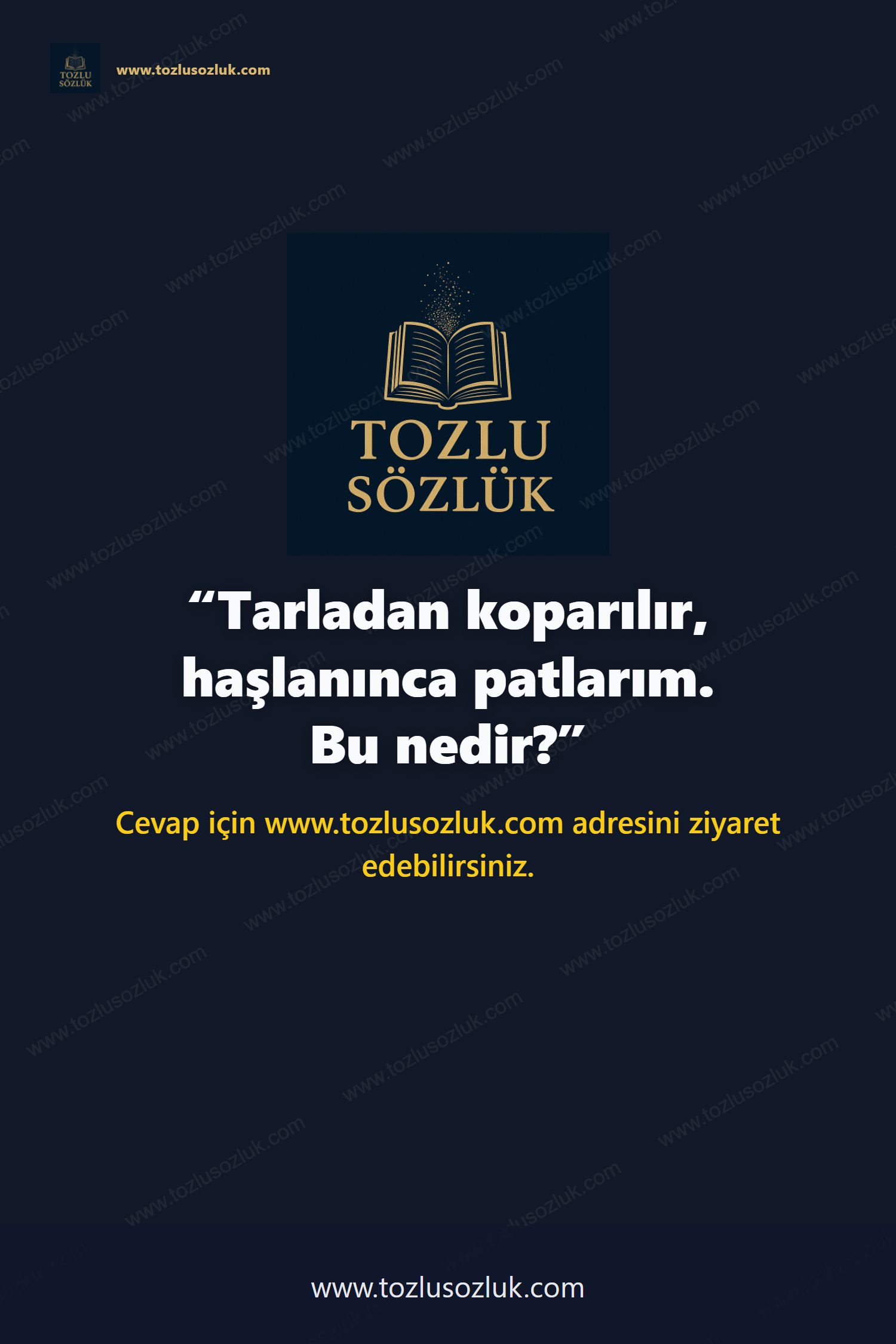 Tarladan koparılır, haşlanınca patlarım. Bu nedir? Pinterest görseli
