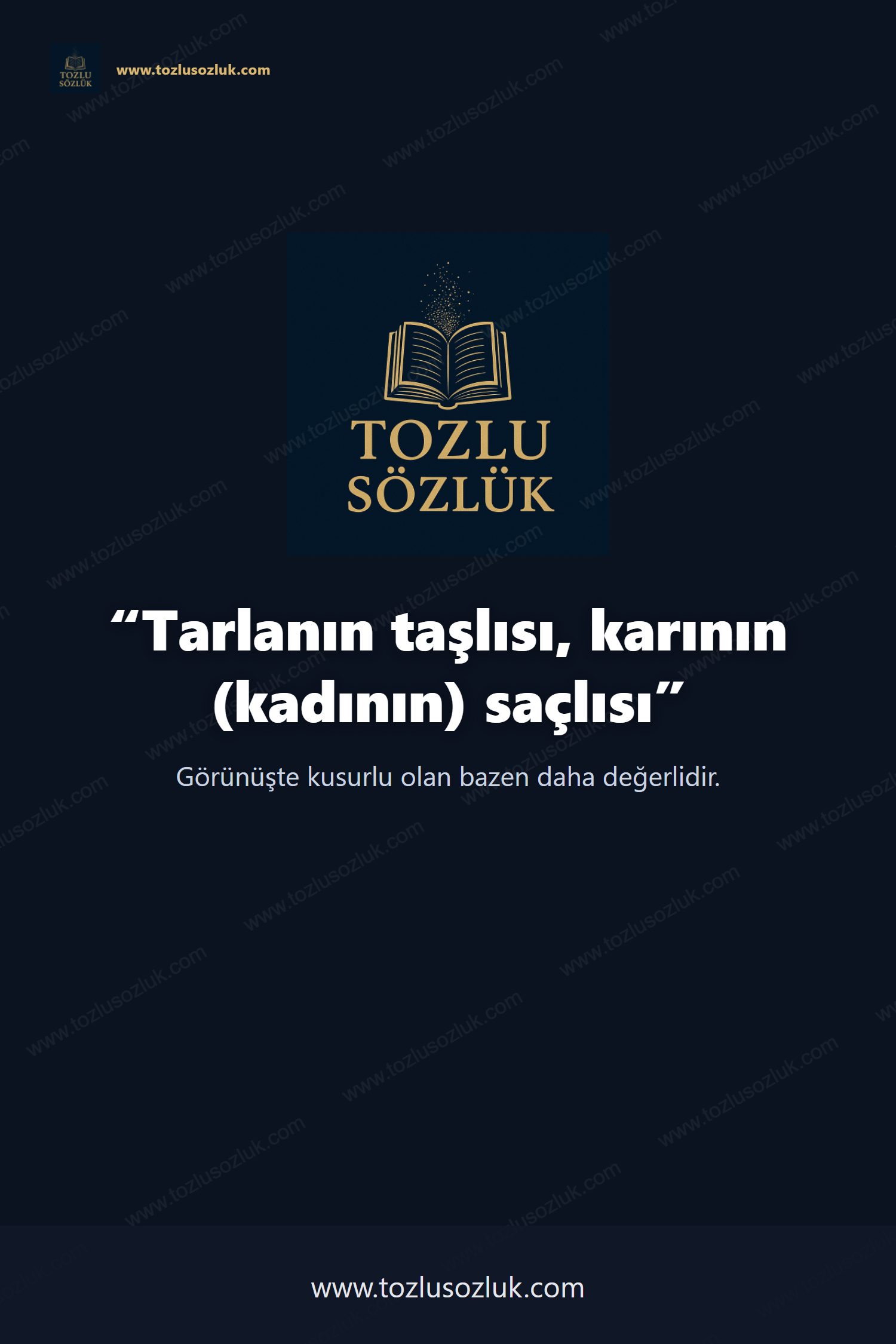 Tarlanın taşlısı, karının (kadının) saçlısı Pinterest görseli