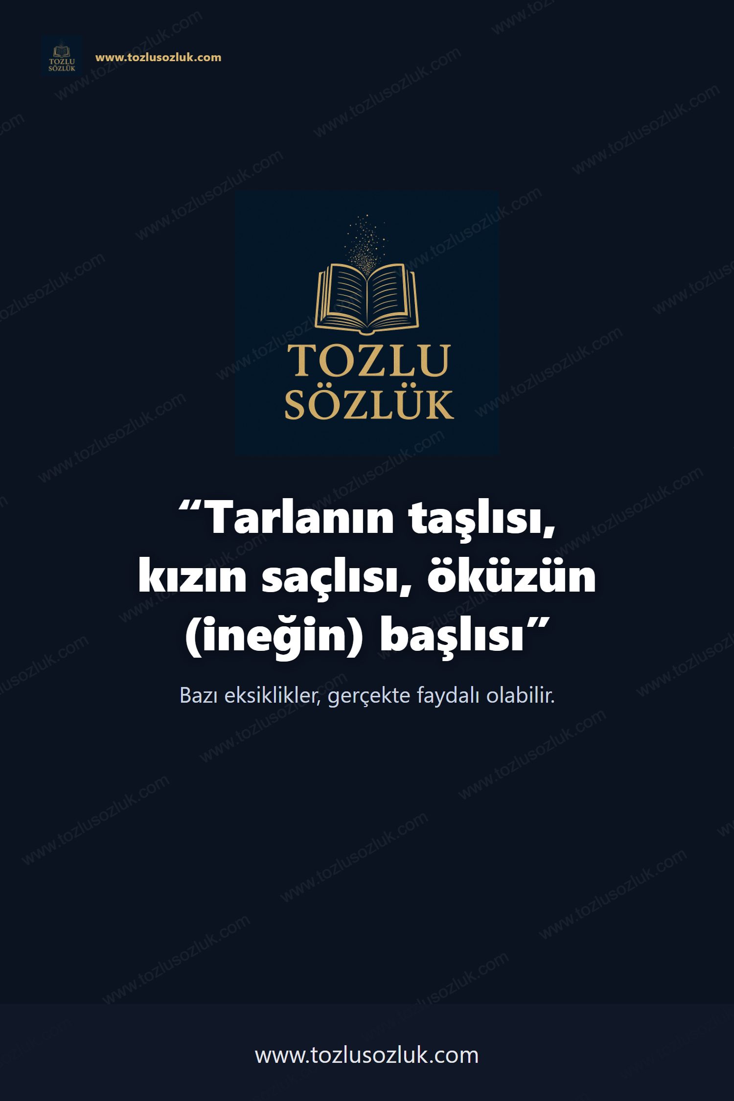 Tarlanın taşlısı, kızın saçlısı, öküzün (ineğin) başlısı Pinterest görseli