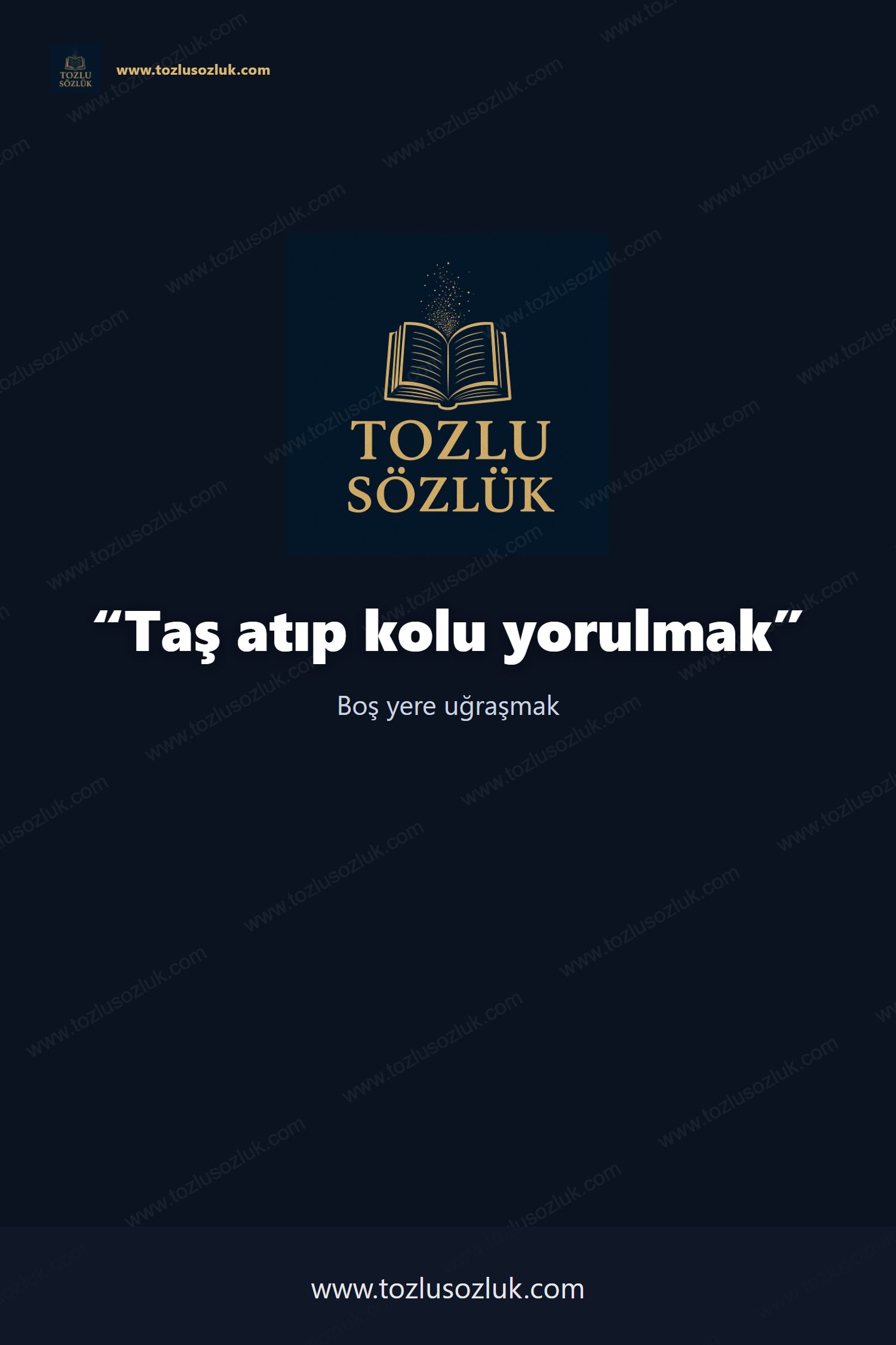 Taş atıp kolu yorulmak Pinterest görseli