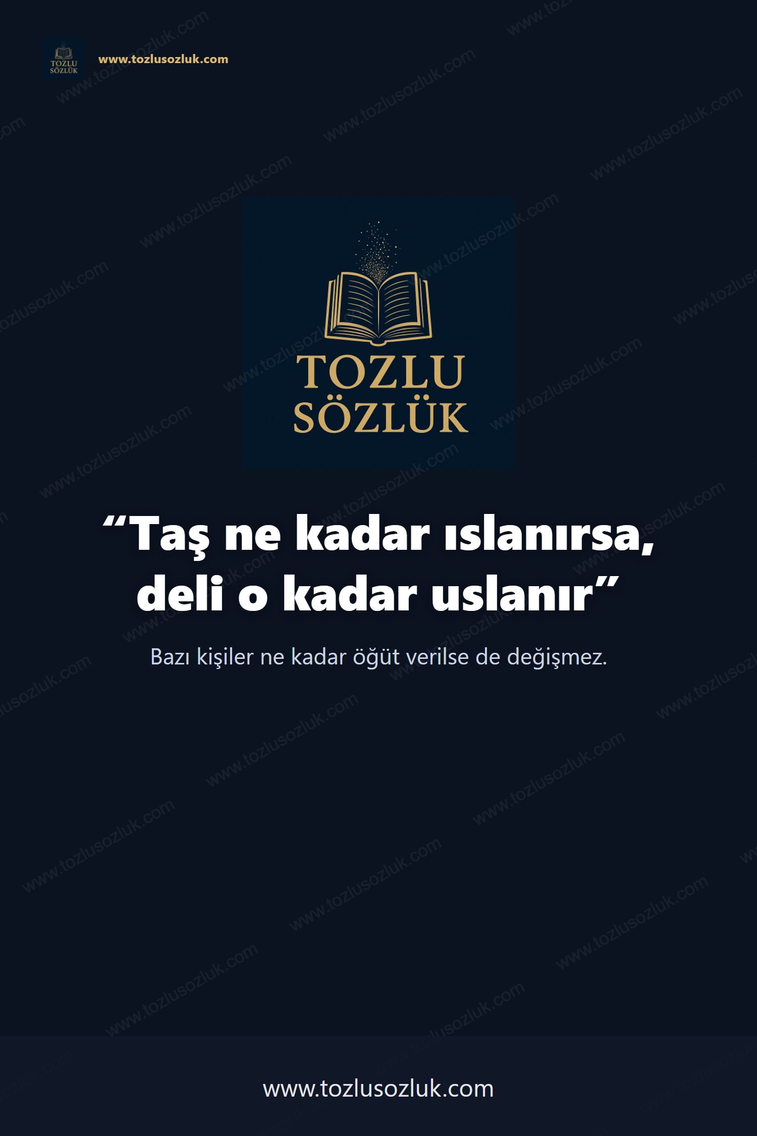 Taş ne kadar ıslanırsa, deli o kadar uslanır Pinterest görseli