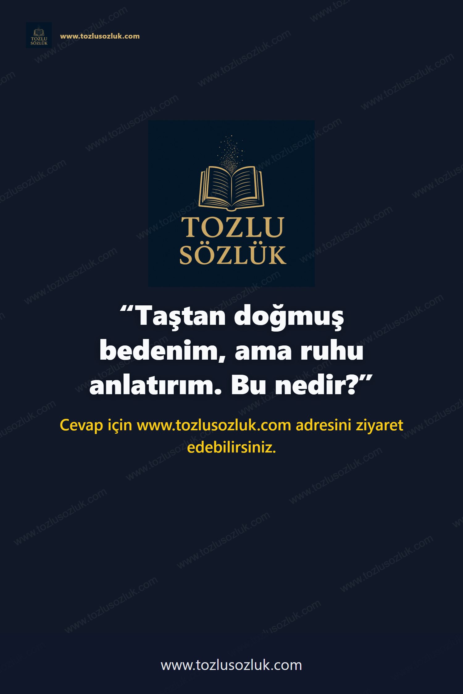Taştan doğmuş bedenim, ama ruhu anlatırım. Bu nedir? Pinterest görseli