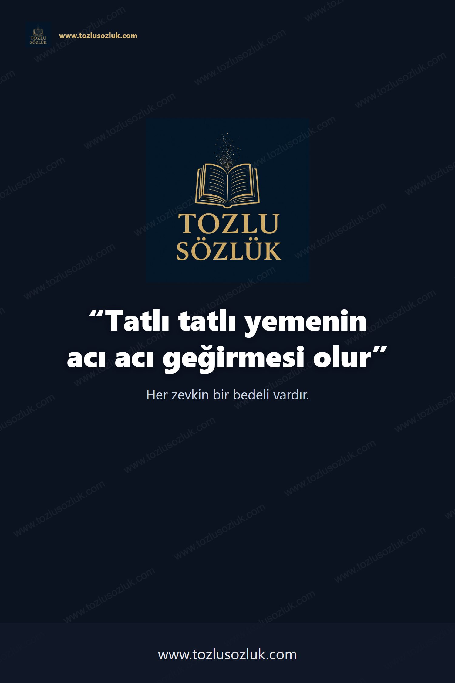 Tatlı tatlı yemenin acı acı geğirmesi olur Pinterest görseli