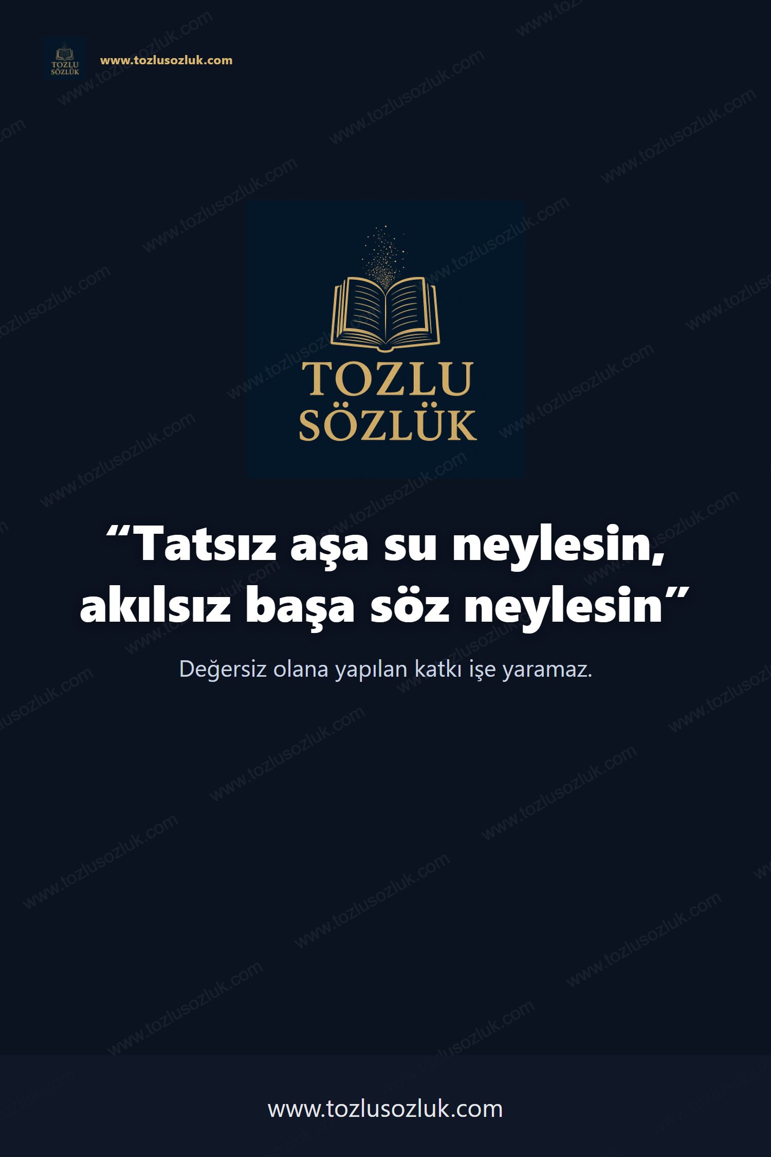 Tatsız aşa su neylesin, akılsız başa söz neylesin Pinterest görseli