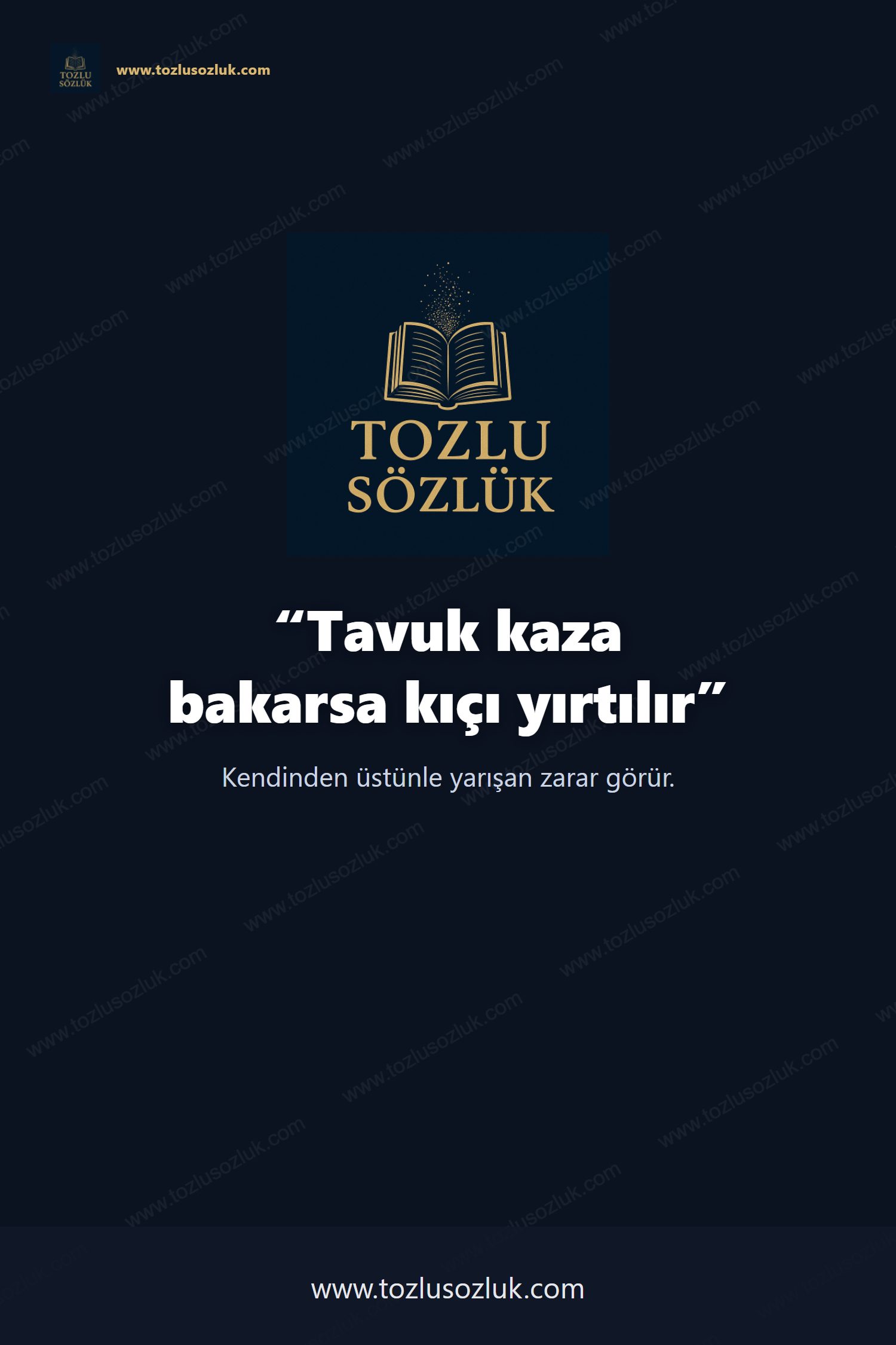 Tavuk kaza bakarsa kıçı yırtılır Pinterest görseli